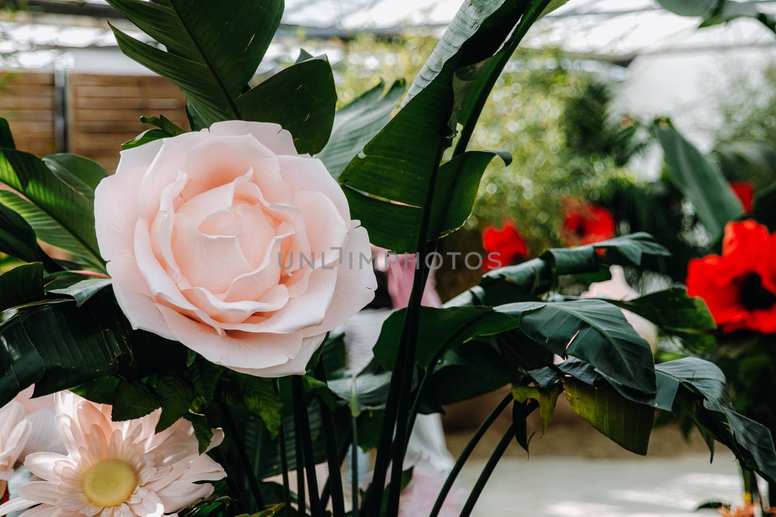 Beautiful view of giant artificial roses, gerberas and poppies made of organza in pots with real plants, which stand in a covered glass room in a public park on a sunny spring day, side view very close-up. Conceptual flower backgrounds, interior floristry, handmade hobby.
