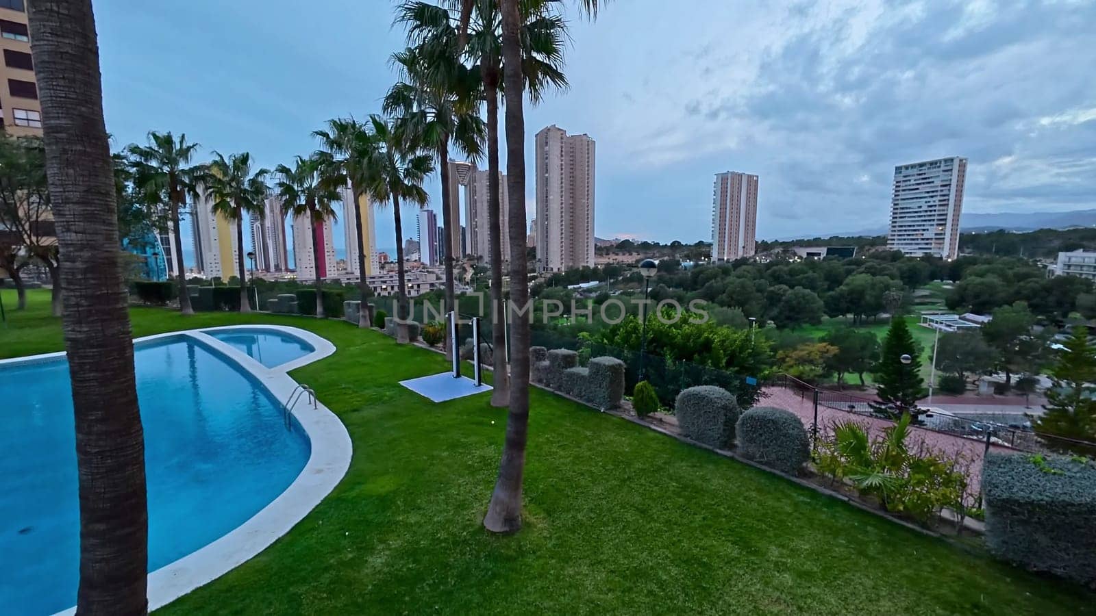 A tranquil poolside view showcasing palm trees alongside urban buildings beautifully set in the background