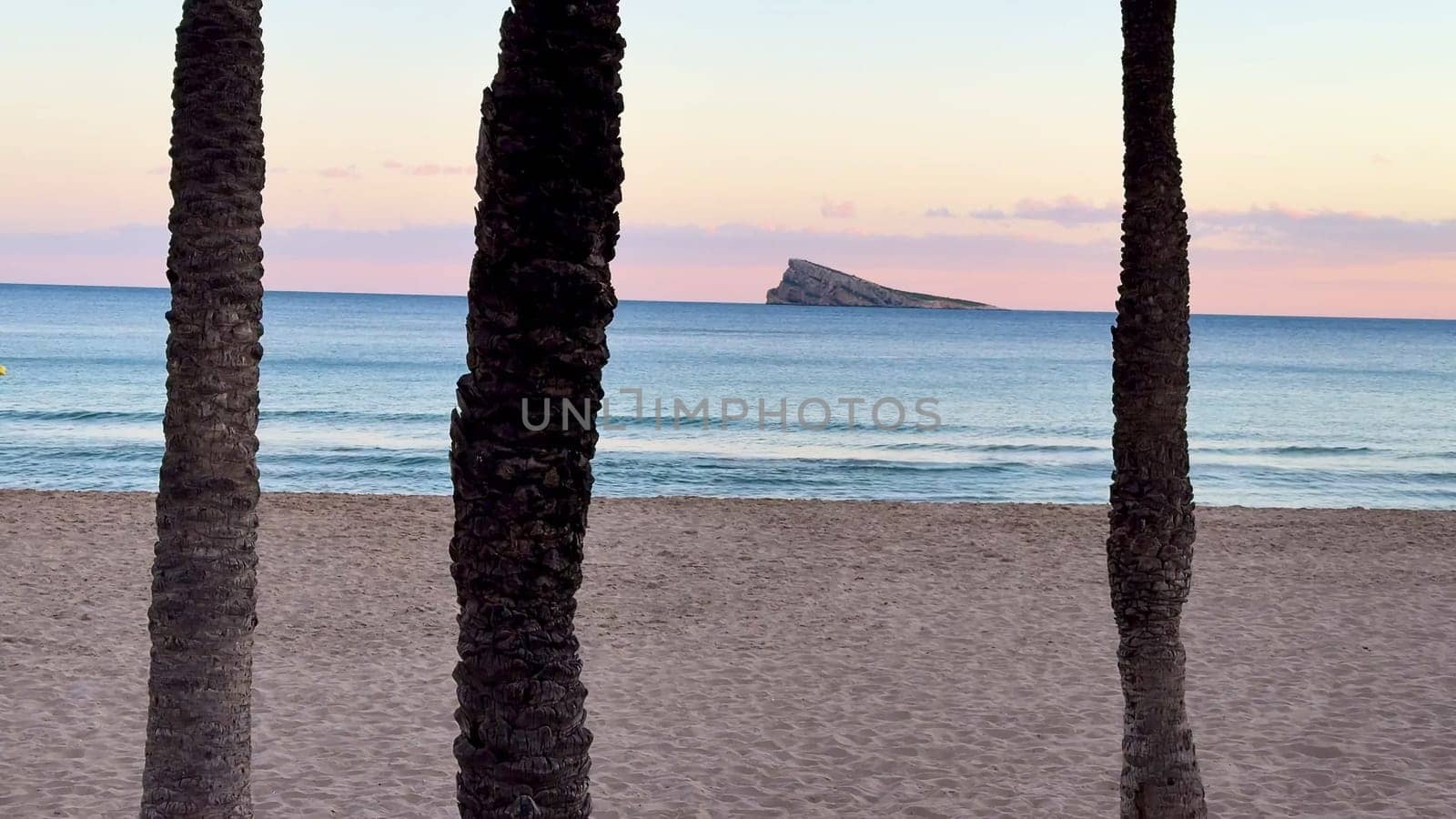 A serene beach view framed by tall palm trees, showcasing natures stunning beauty at sunset in full color