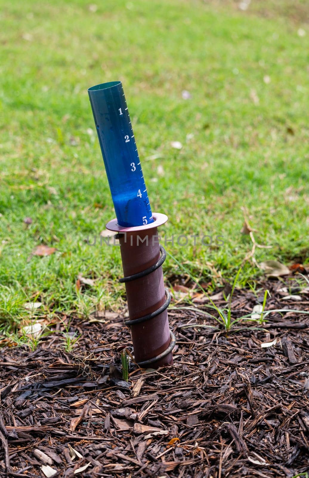 Outdoor plastic rain gauge showing five inches of rain from downpour storm