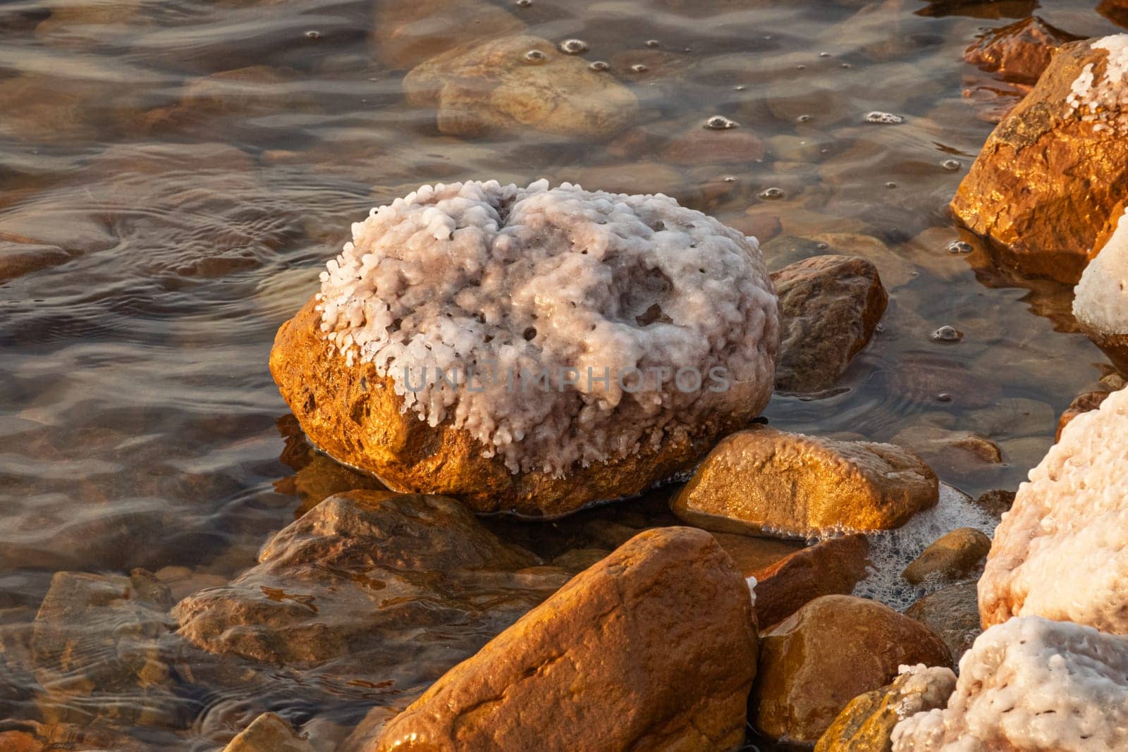 A close-up view showcasing the unique salt formations encrusted on rocks at the dead sea's edge, glistening in the sunlight