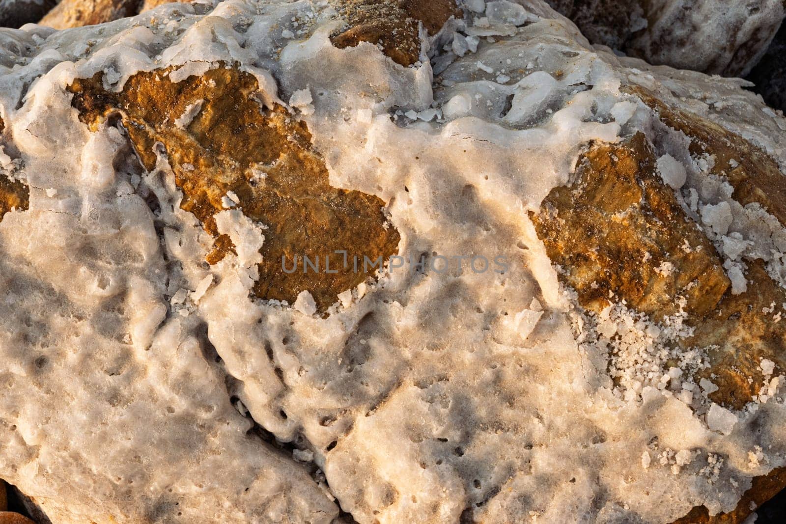 A close-up view showcasing the unique salt formations encrusted on rocks at the dead sea's edge, glistening in the sunlight