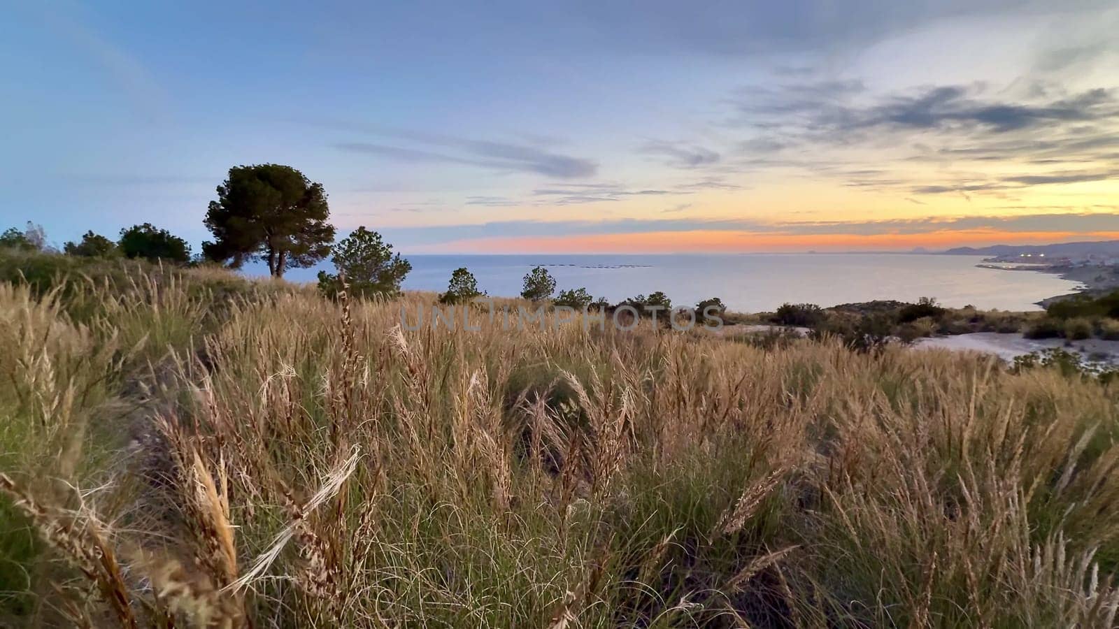 The stunning view of the sunset over the beautiful scenic grassland and the sparkling coastal waters is breathtaking