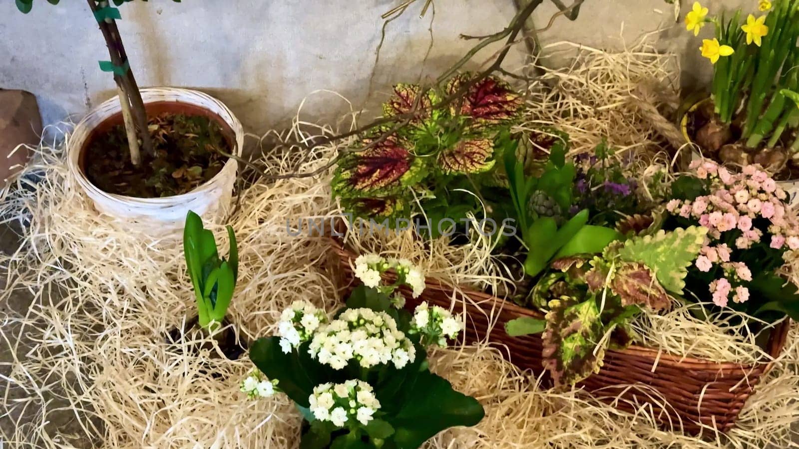 This stunning arrangement features vibrant flowers and natural elements, creating an impressive visual display