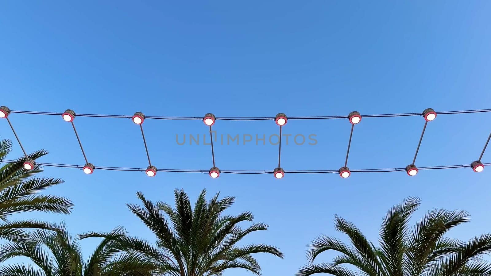 A beautifully serene setting showcasing palm trees elegantly adorned with string lights set against a clear blue sky