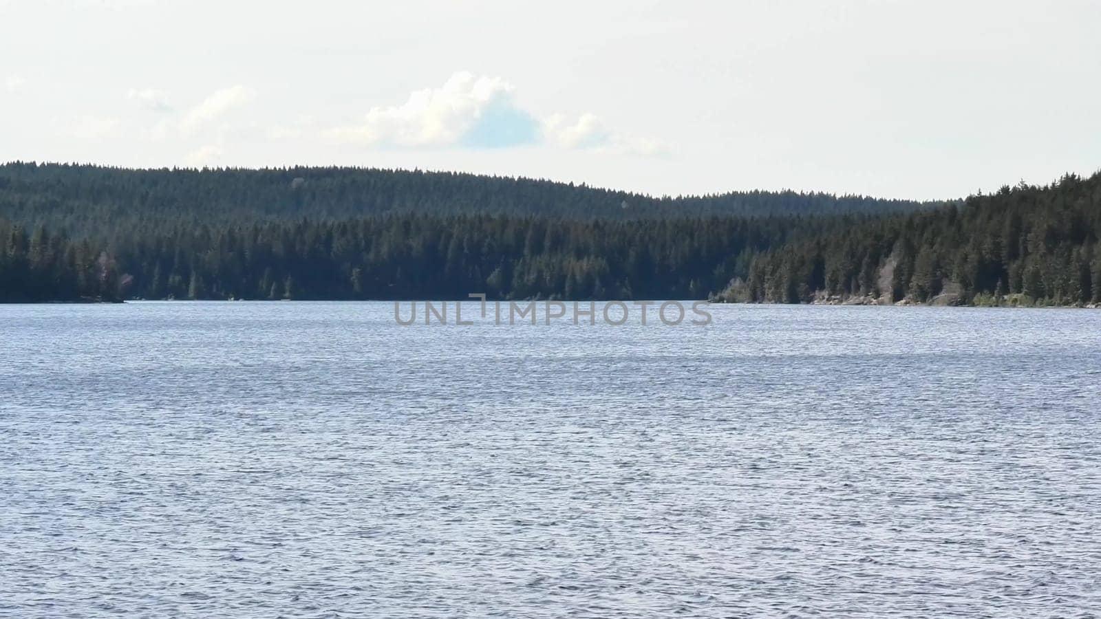 A tranquil and serene lakeside scene showcasing calm, reflective waters with a stunning dense woodland backdrop