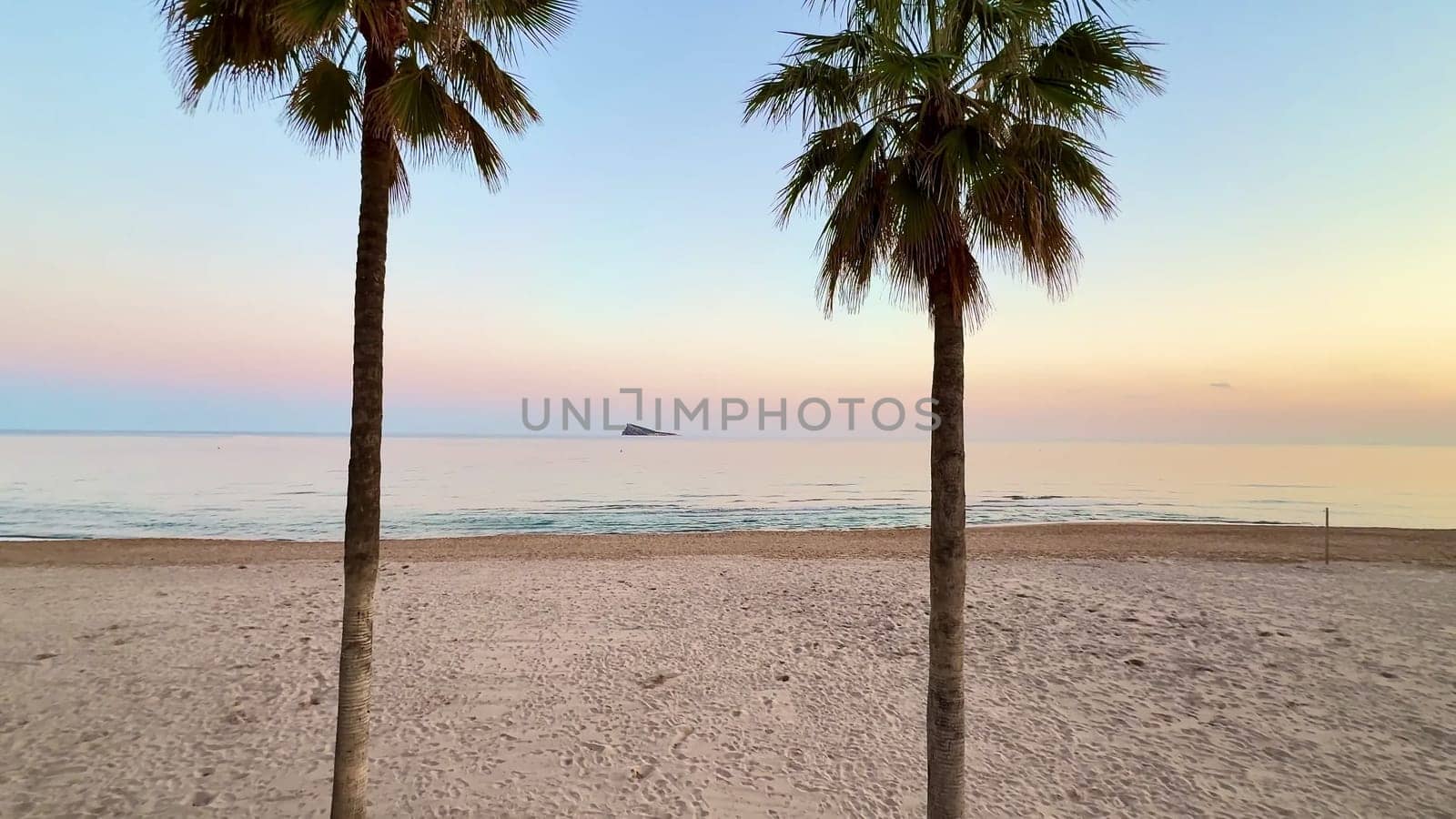 A peaceful and tranquil seaside paradise with lush palm trees set against a vibrant, colorful sunset