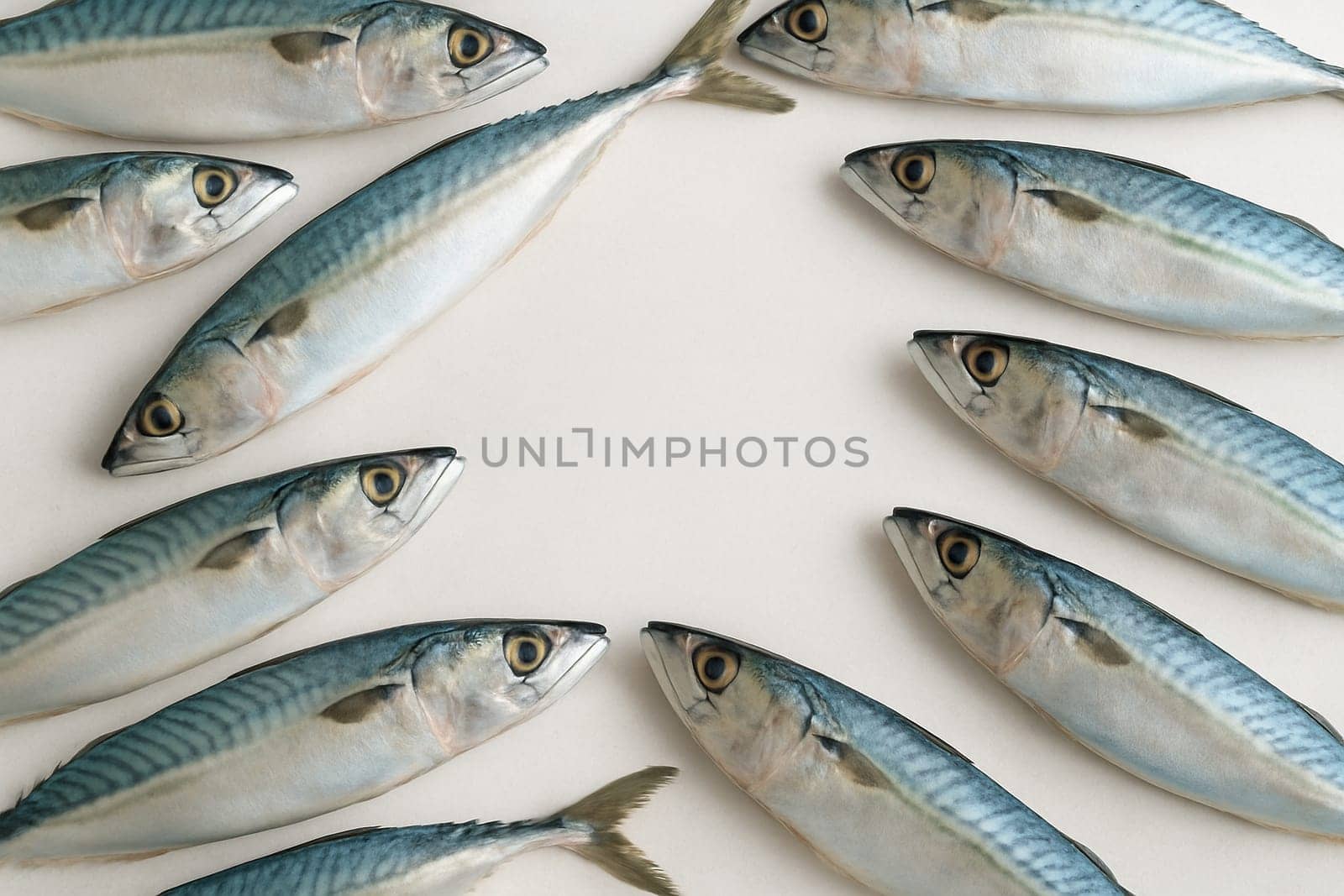 AI generated top view of fresh whole mackerel fish with shiny skin and clear eyes arranged neatly showcasing natural silver-blue color against clean white background
