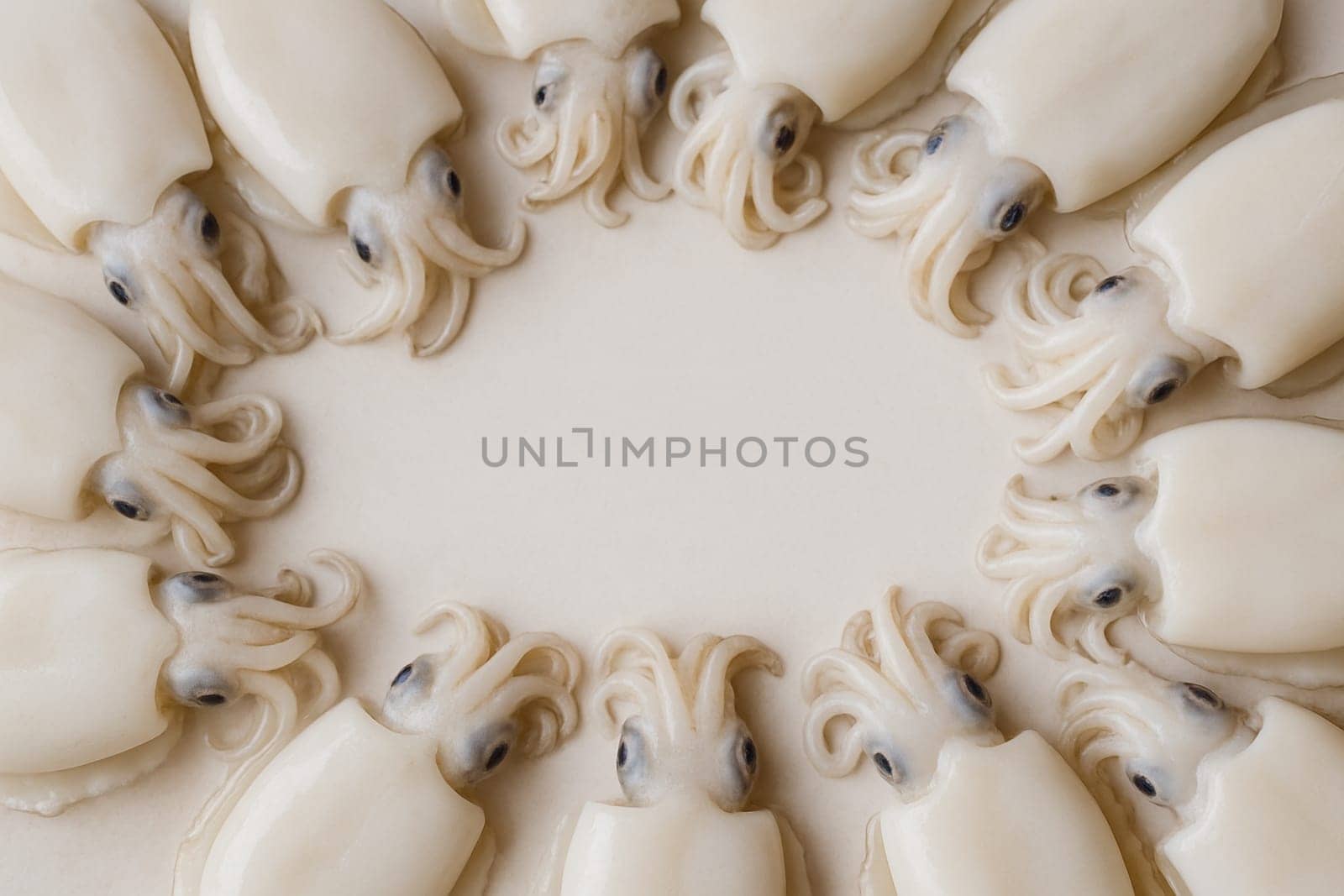 AI generated top view of fresh whole soft cuttlefish with smooth skin and distinctive shape arranged neatly showcasing premium seafood against clean white background