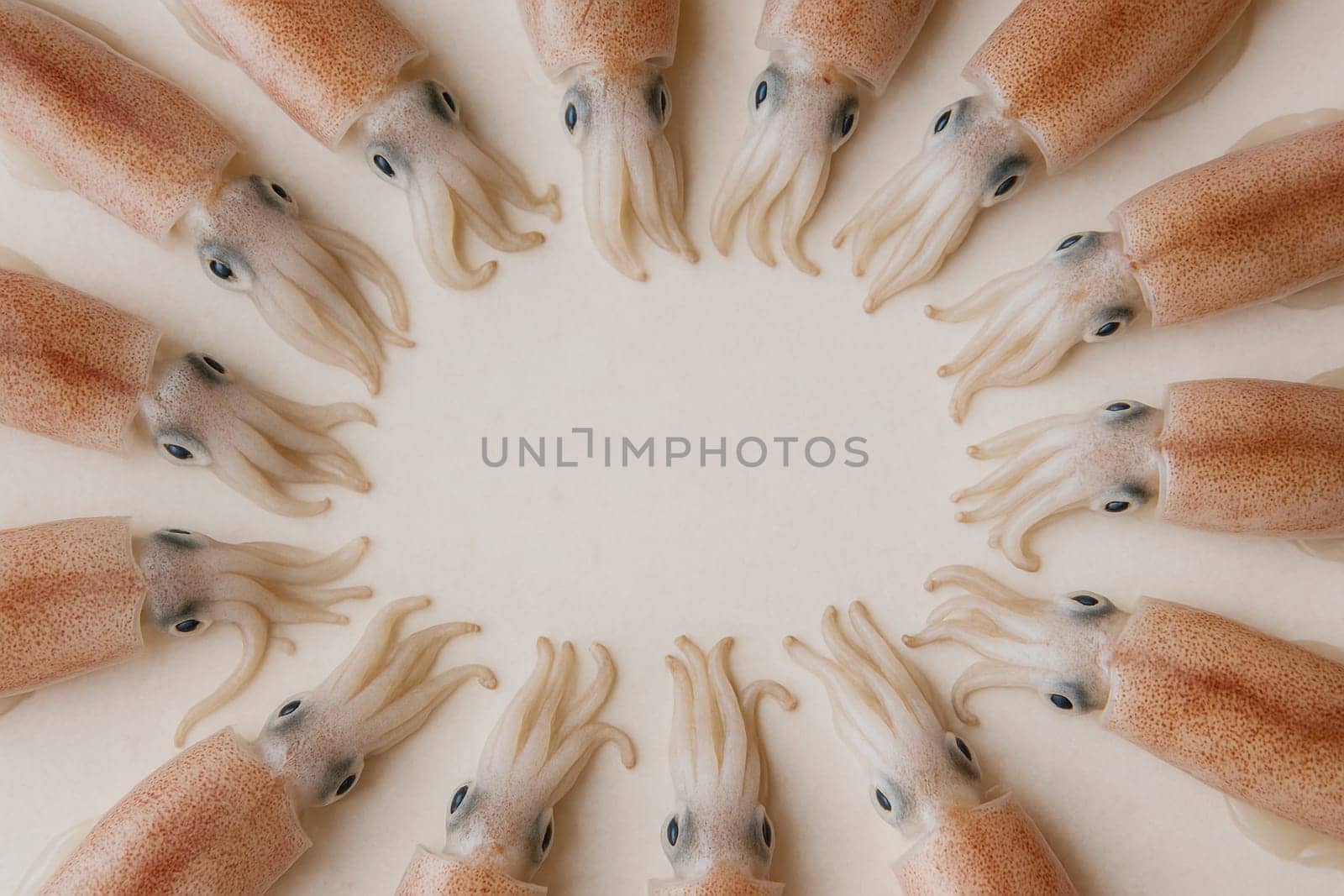AI generated top view of fresh whole beka squid with glossy skin and delicate features arranged neatly showcasing premium seafood against clean white background