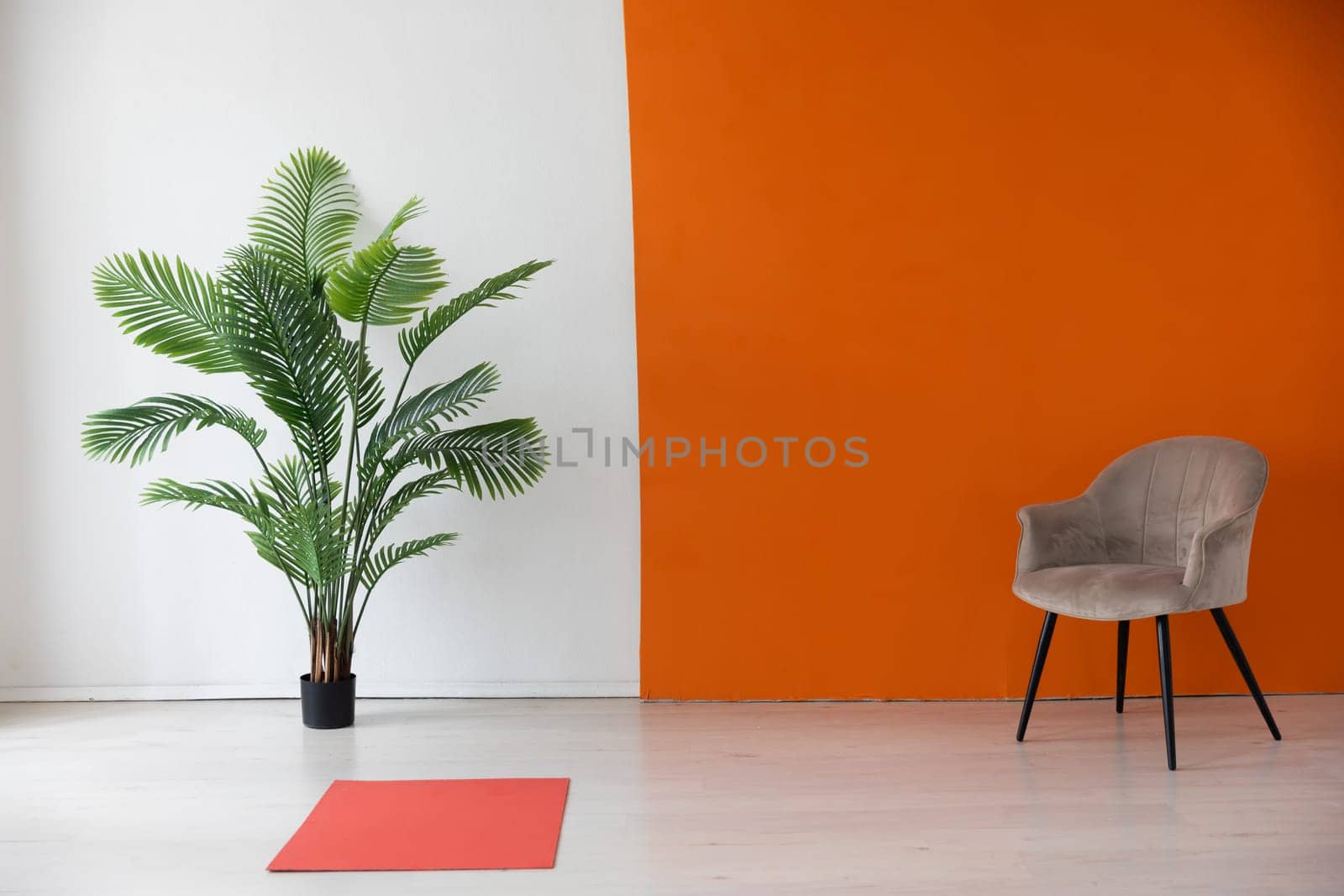 One chair and a green plant in the interior of a white and orange room