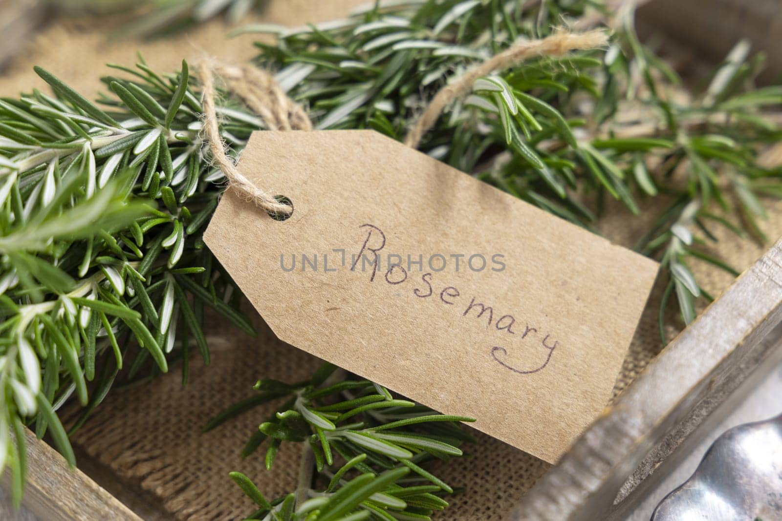 Kraft paper text label near bunch of fresh green rosemary sprigs in a tray on white rustic table closeup. Aromatic herb for meat and fish. Mediterranean culinary concept