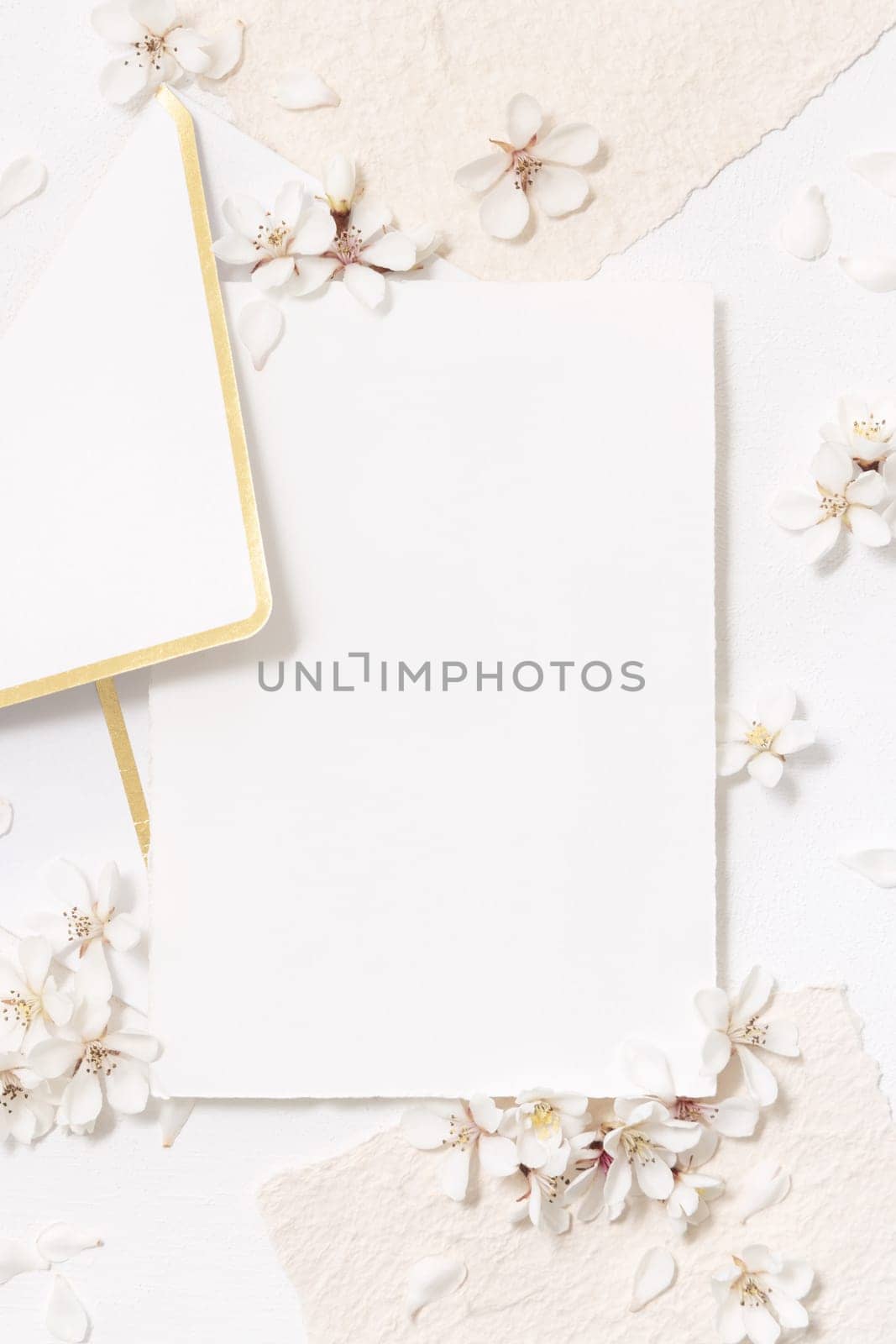 Blank paper card and envelope near white cherry flowers top view, copy space, mockup. Pastel vertical card for spring romantic wedding stationery or party design, Close to nature mood
