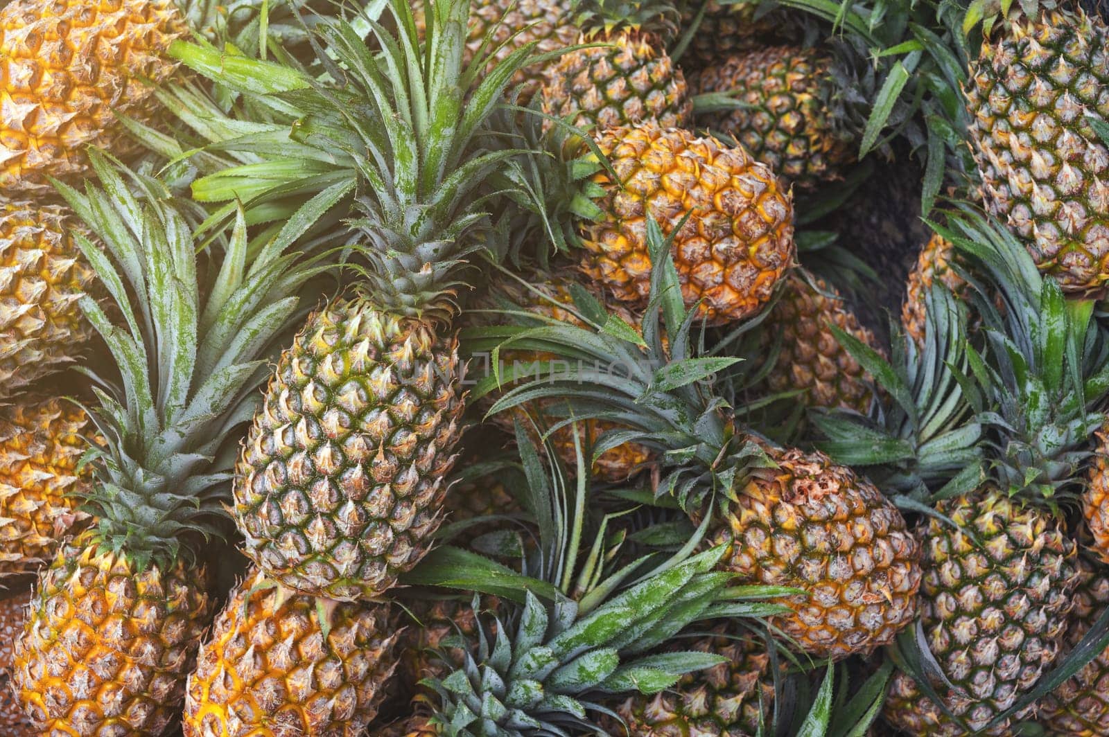 background with exotic pineapples. Ripe tropical fruits on market