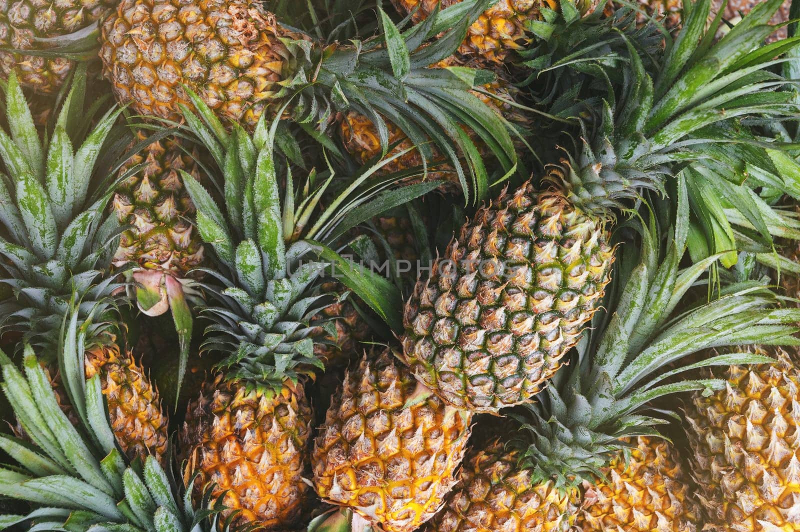 background with exotic pineapples. Tropical fruits on market