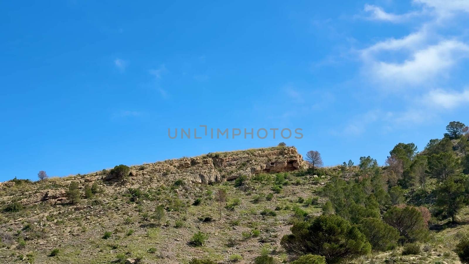 Imagine a breathtakingly stunning view of a lush green hillside, filled with vibrant vegetation, under a clear blue sky
