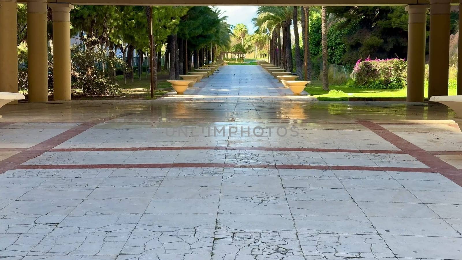 A beautiful sunlit pathway that is lined with tall and majestic palm trees, perfect for relaxation and leisurely walks