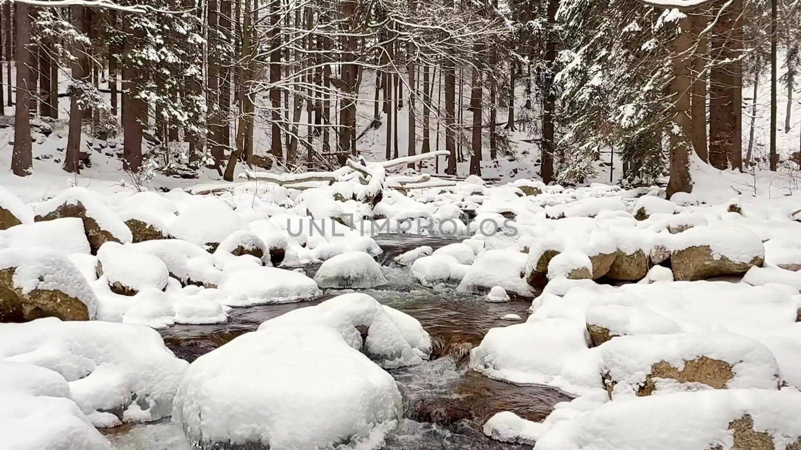 A beautifully peaceful winter scene showcasing a snowcovered river winding its way through a tranquil forest landscape