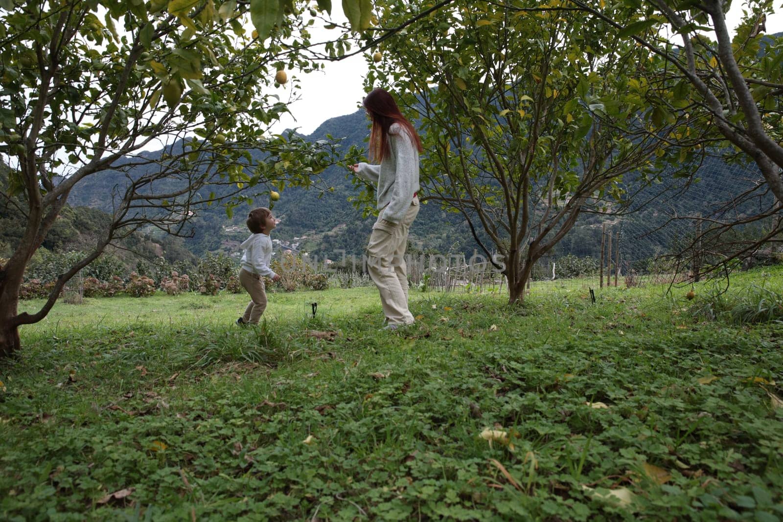 Mother and child harvesting lemons from a lemon tree in an orchard, enjoying a beautiful day in nature