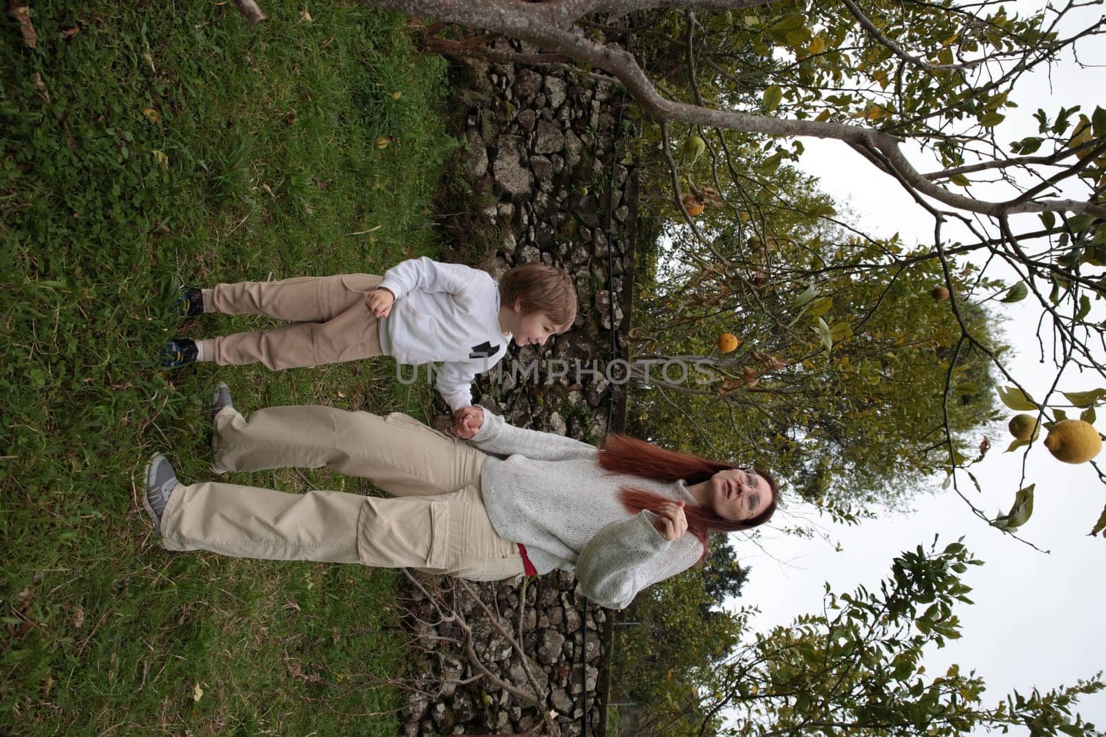 Mother and son harvesting lemons in a lemon orchard by a stone wall