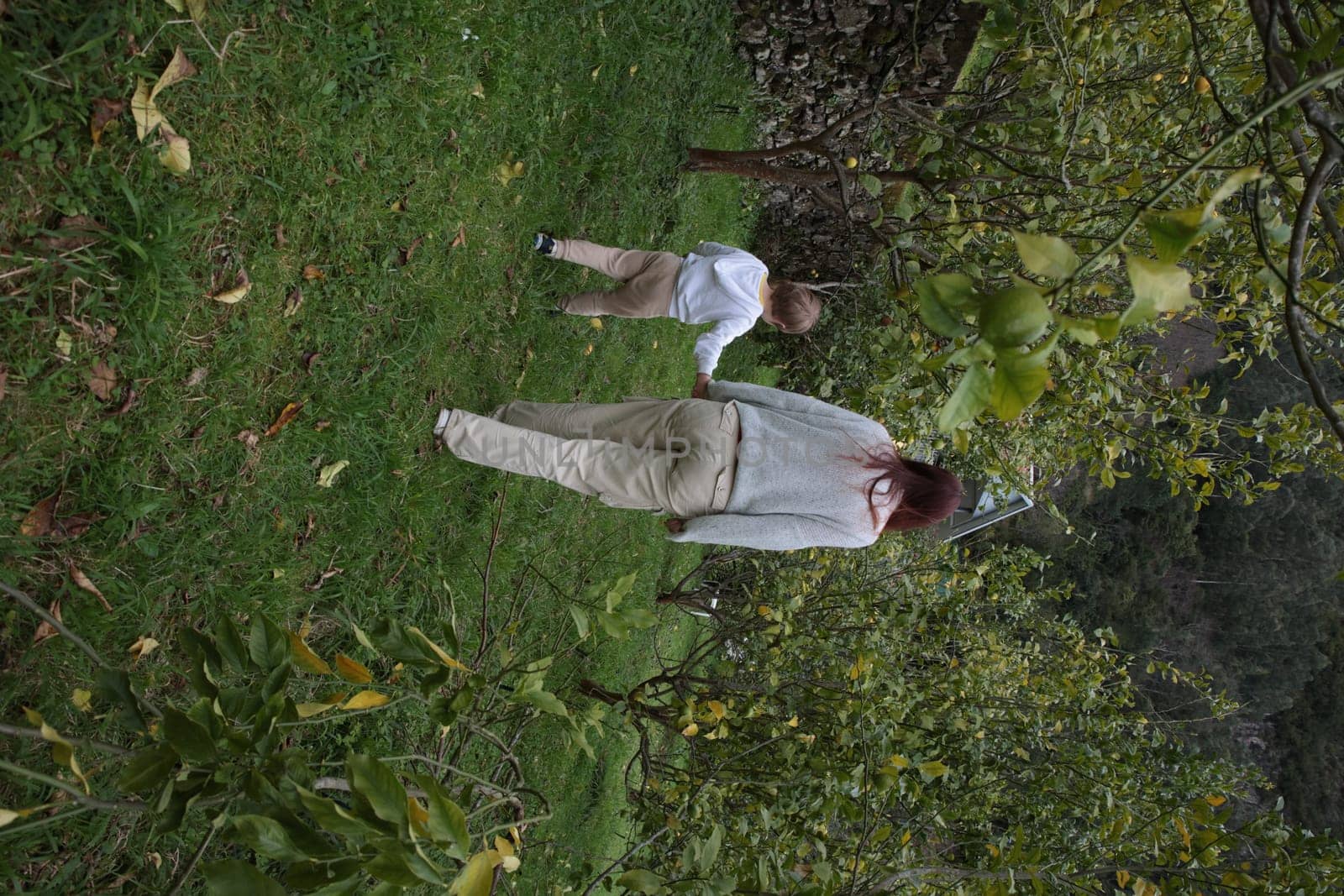Mother and son enjoying a stroll through a lush orchard, holding hands and creating a heartwarming moment of family bonding