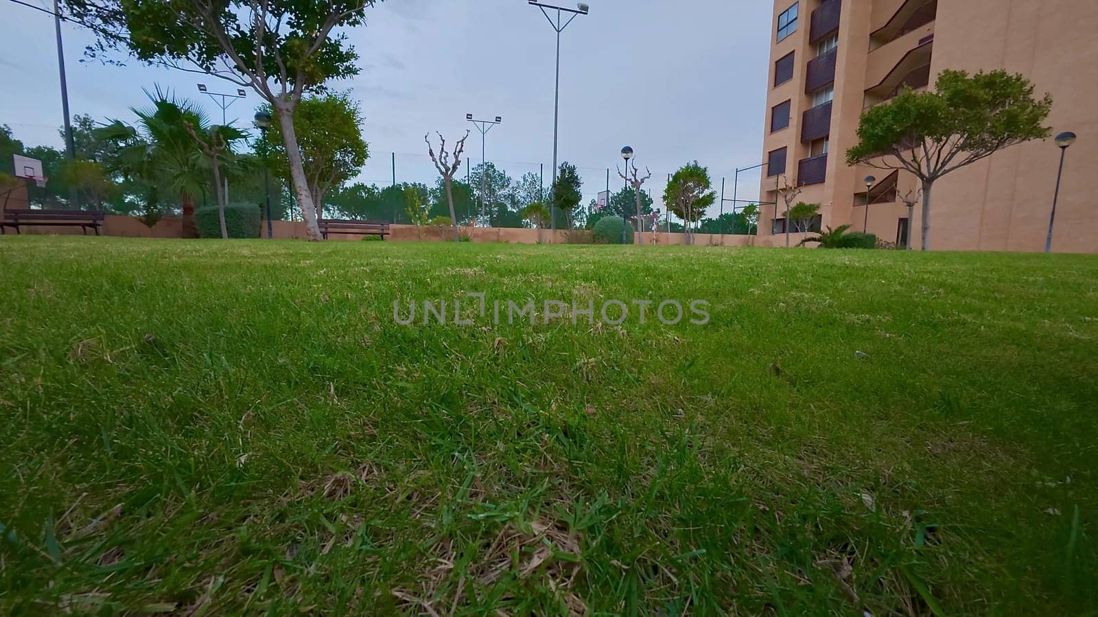 A beautiful and serene view of a park that features vibrant green grass, trees, and comfortable benches in the backdrop