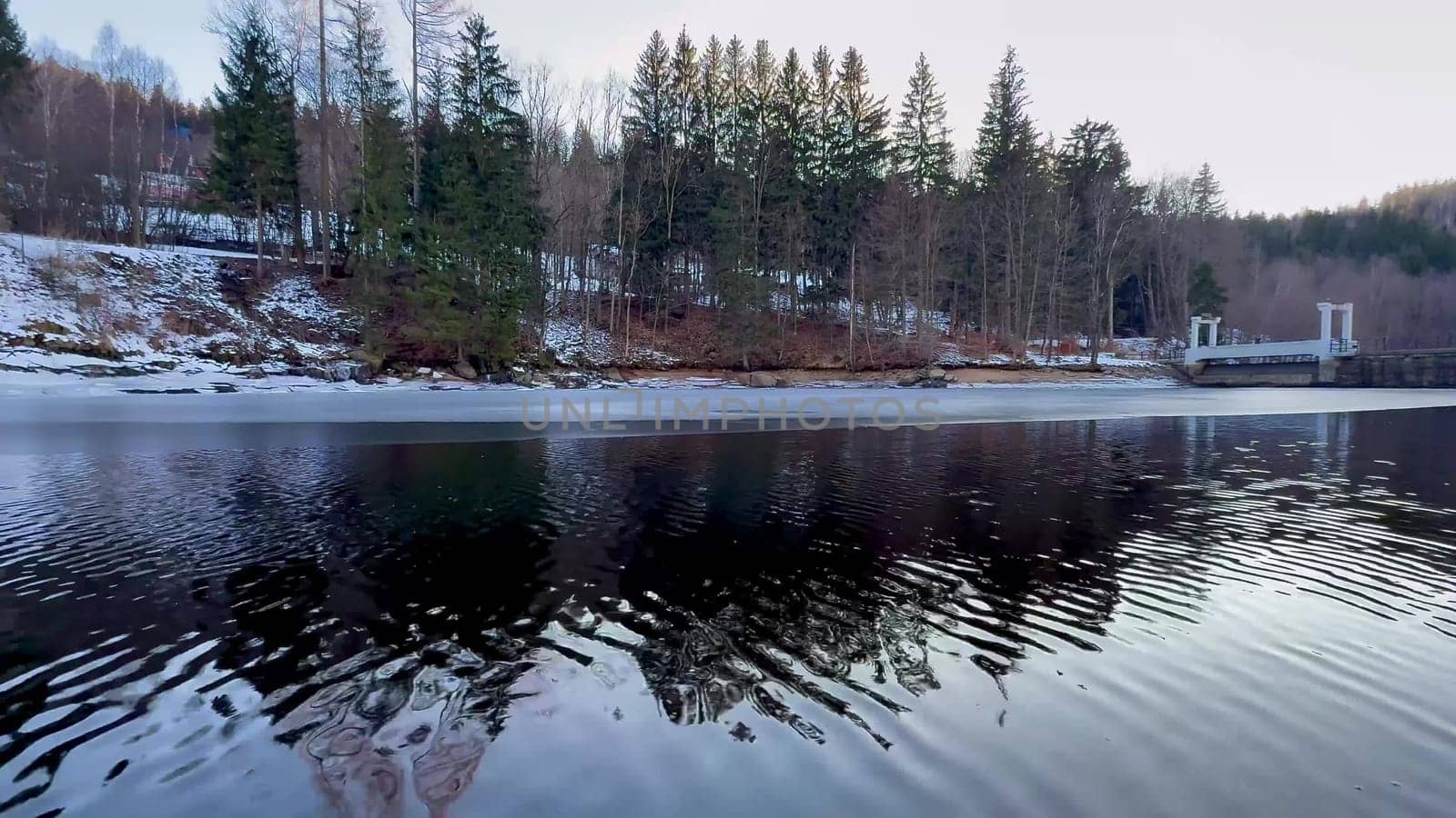 A serene and tranquil winter scene showcasing beautiful snowy trees alongside a calm, reflective lake