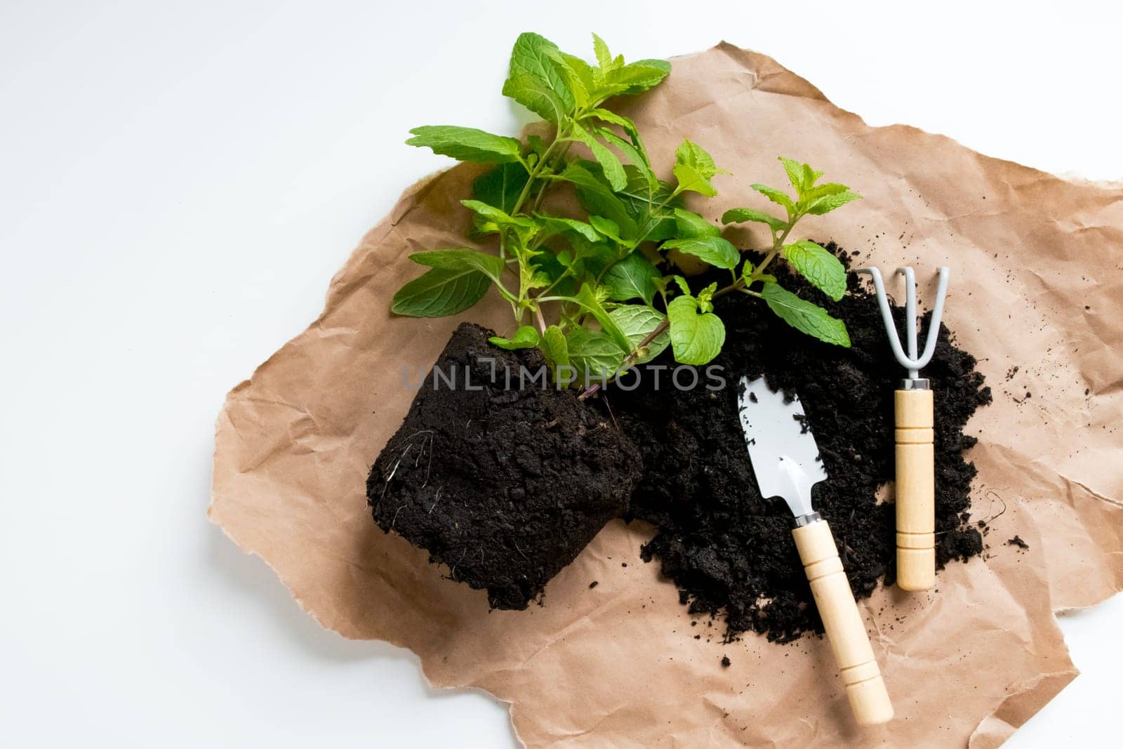 Herb planting with soil, trowel, and rake on brown paper.