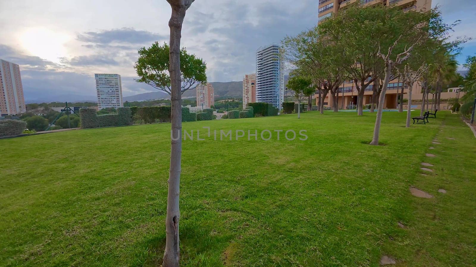 A peaceful and tranquil outdoor area showcasing lush, vibrant greenery along with modern contemporary buildings at dusk