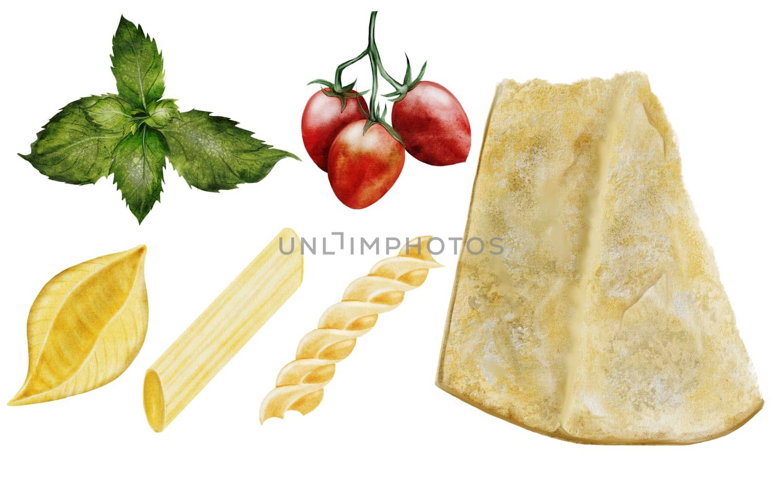 Cheese and pasta set watercolor. Hand drawn italian cheese, different pasta, tomatoes and basil on white background. Clip art food. Ideal for restaurant menus, recipe books and farm dairy product packaging. High quality illustration