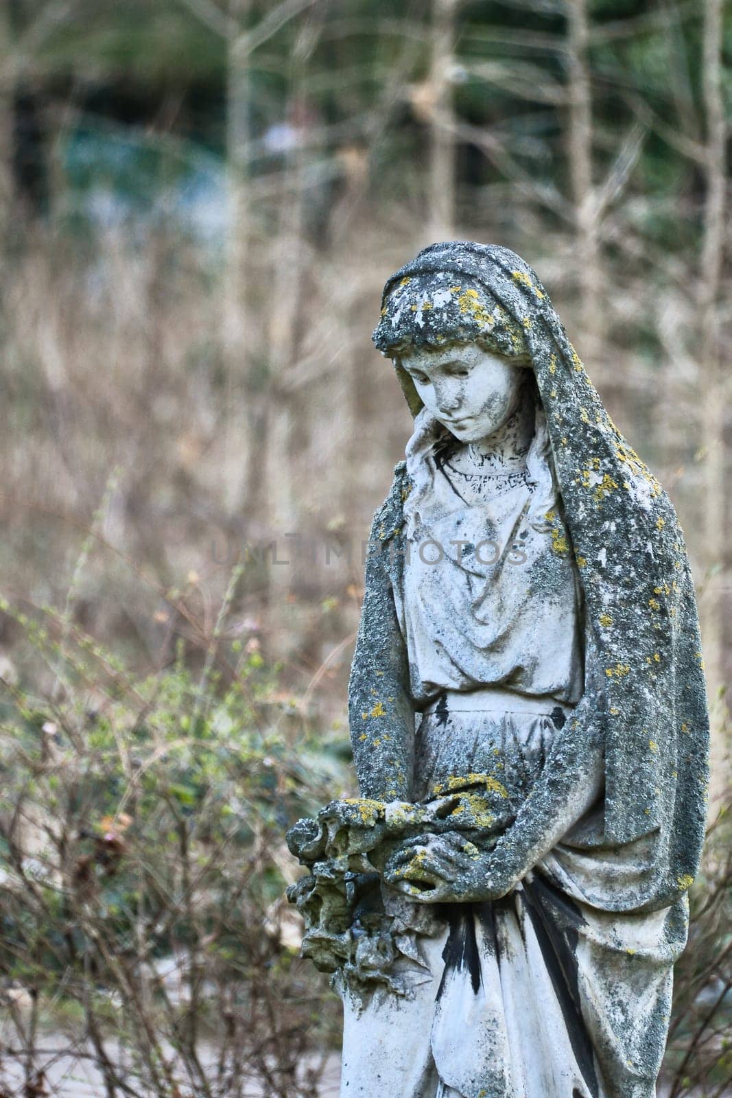 Moss-covered female statue with headscarf, surrounded by wild plants. The elegant sculpture holds flowers and stands in an enchanted garden. Mystical atmosphere.