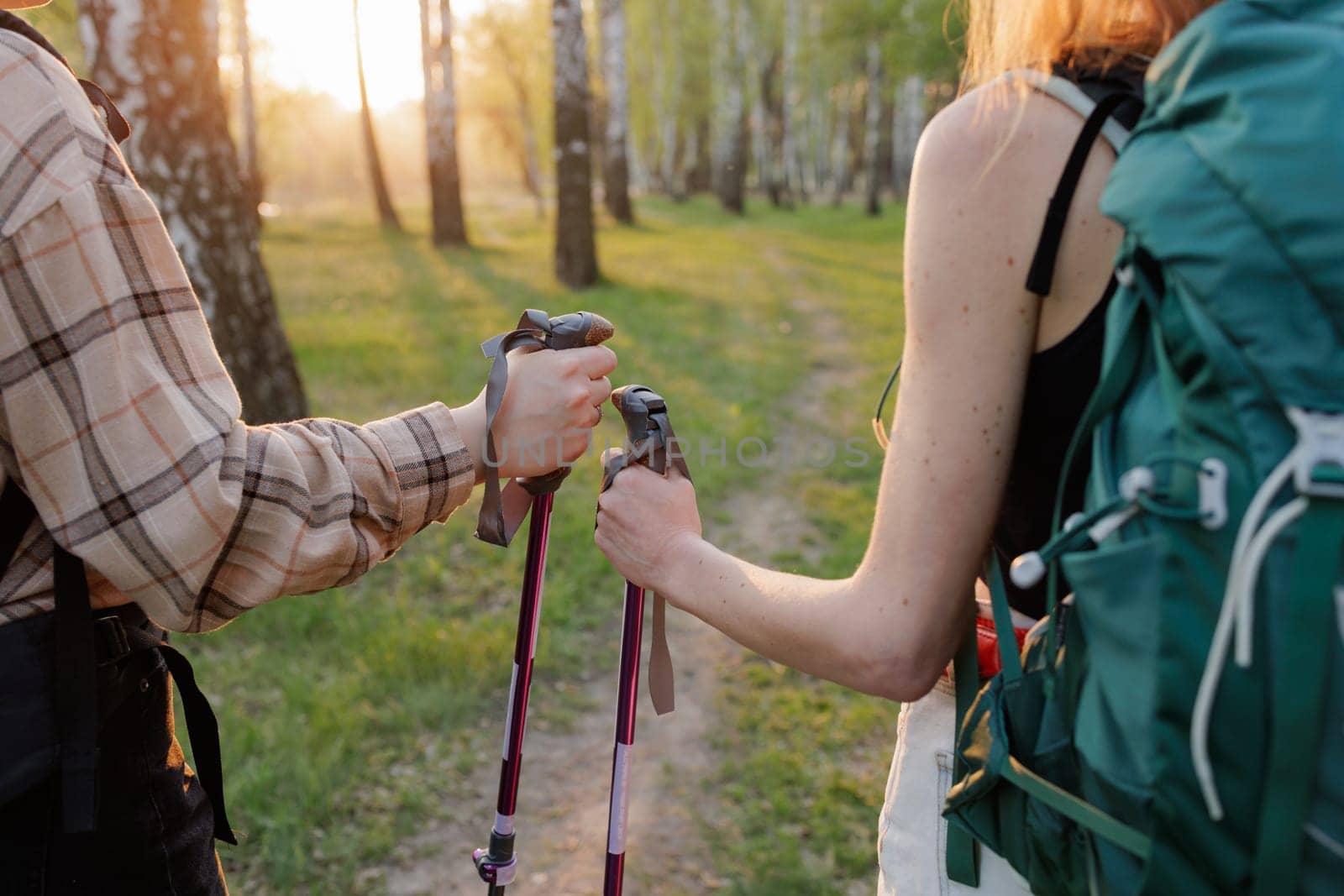 Close-up of two hikers giving a fist bump with trekking poles in forest at sunset, teamwork and adventure concept.