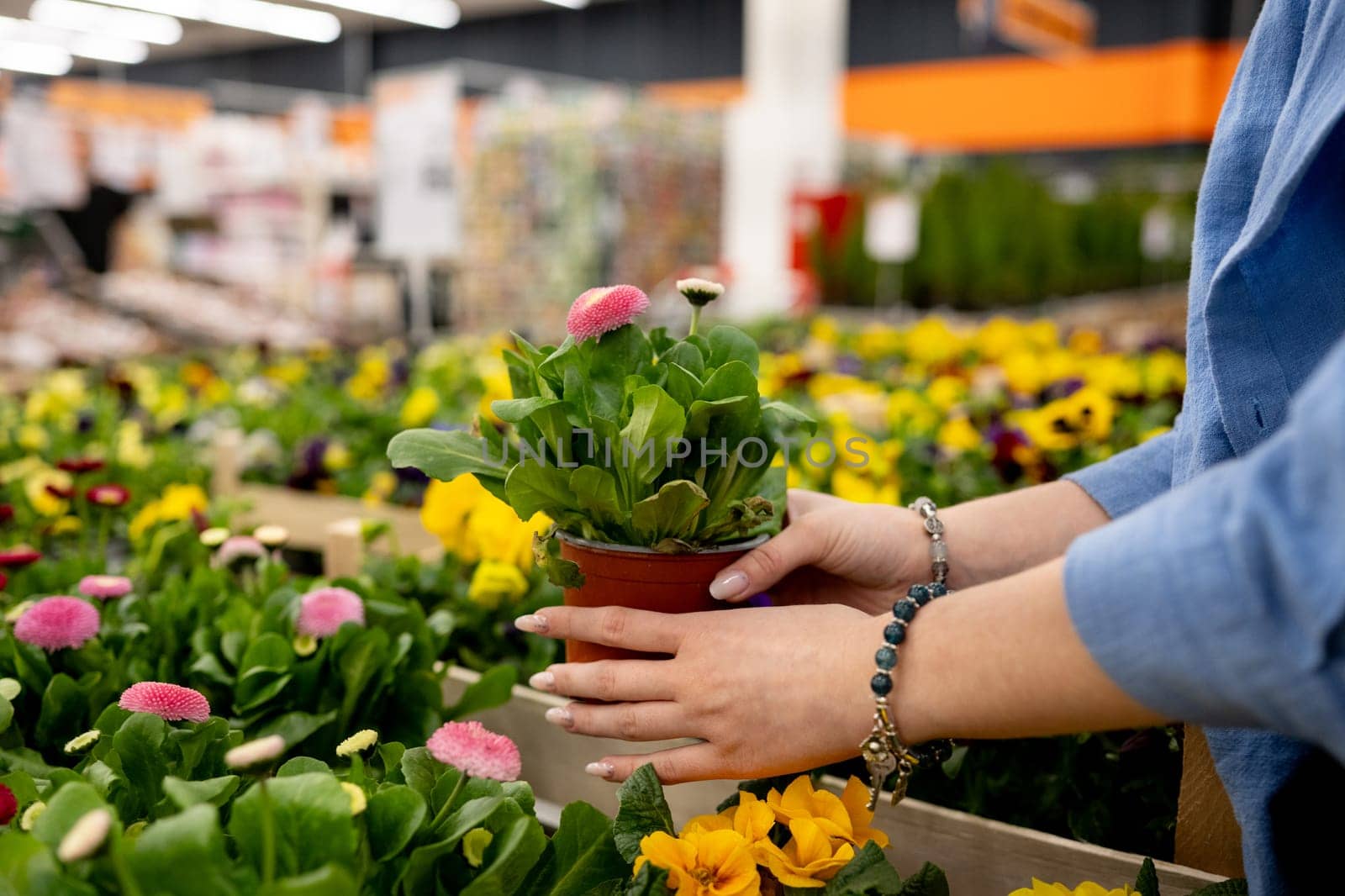 Girl Choosing Potted Flowers In Supermarket