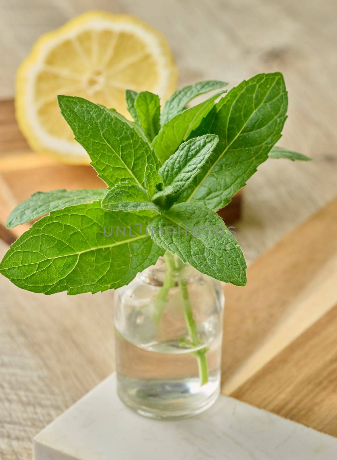 Fresh mint sprigs in a small glass bottle with water, placed on a wooden surface, with a blurred lemon slice in the background.