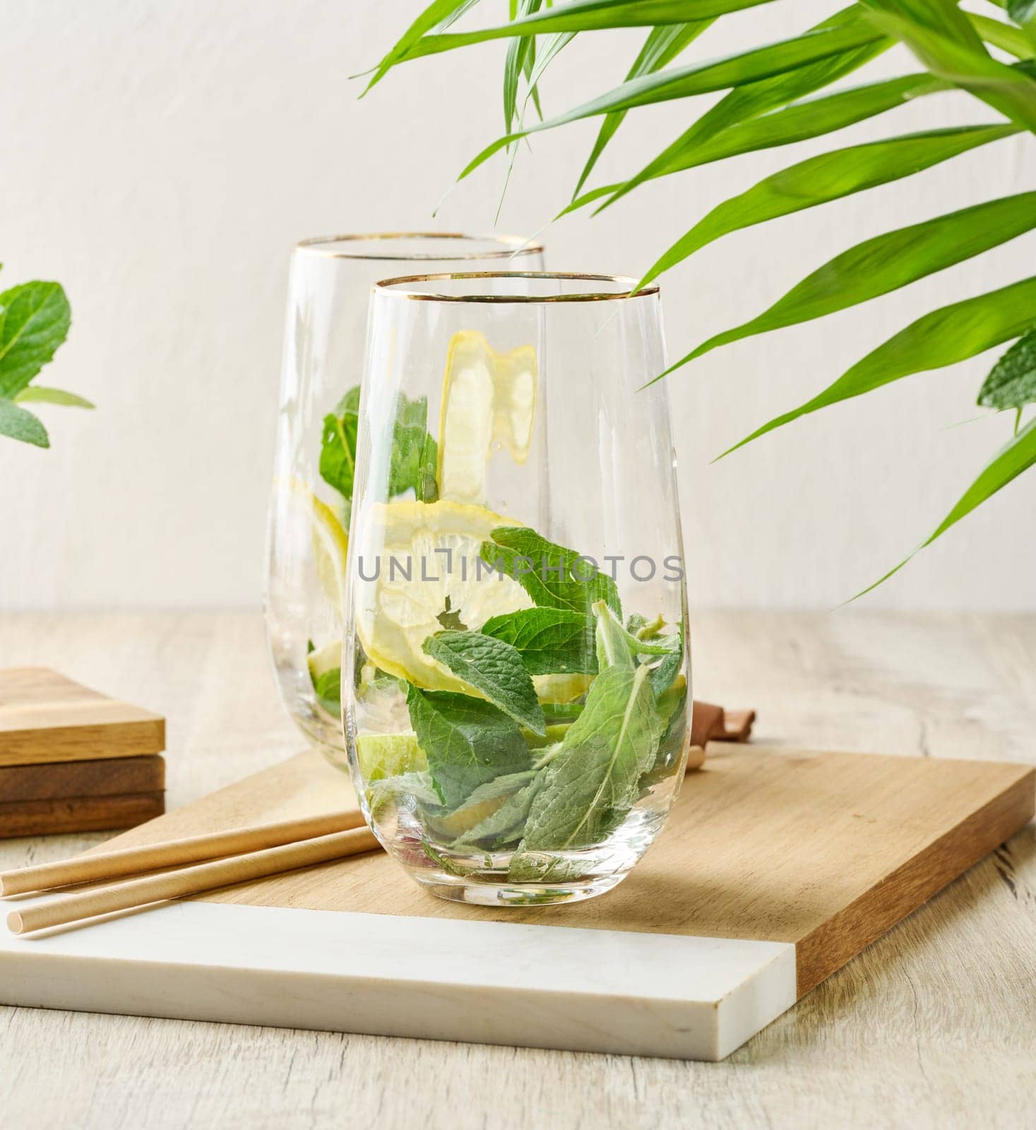 Preparing a refreshing drink. Two glasses filled with fresh lemon slices and mint leaves on a wooden board with a green plant background