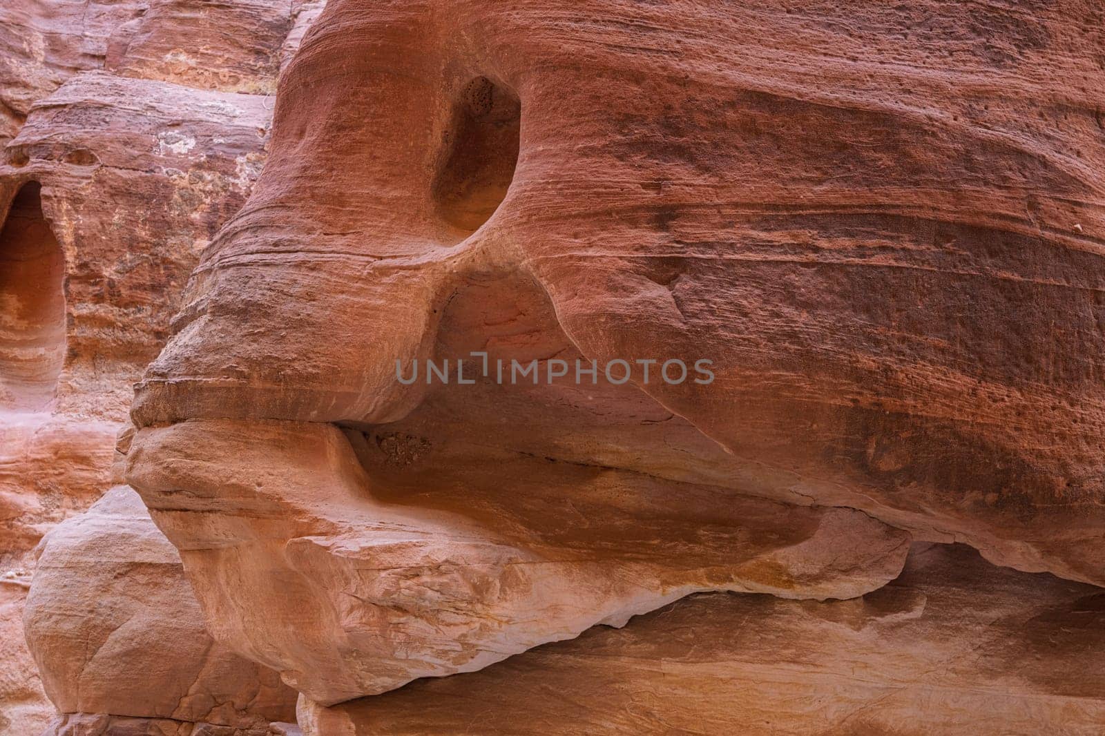 Water carved the rock in the shape of the head of a fish in narrow gorge of the Siq entering Petra in Jordan