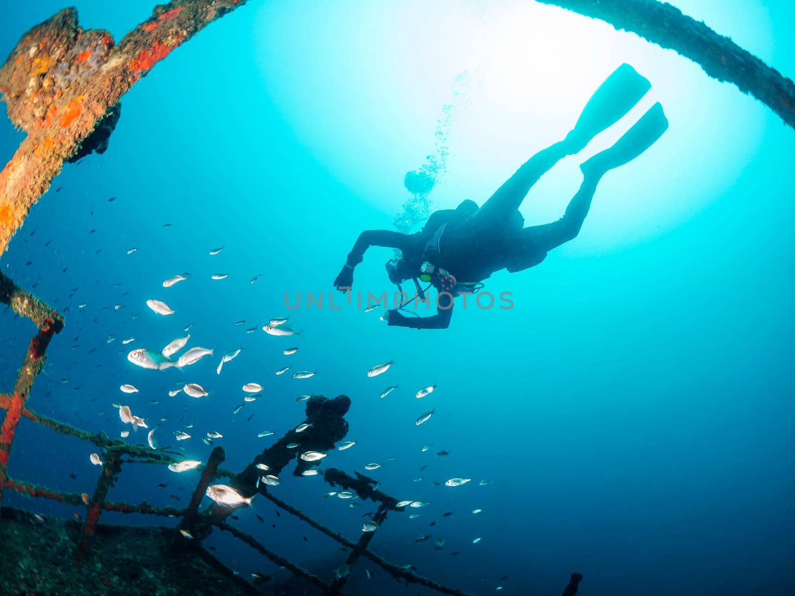 diver diving among fishes and the remains of a sunken ship in the ocean, concept of underwater adventure and active leisure lifestyle