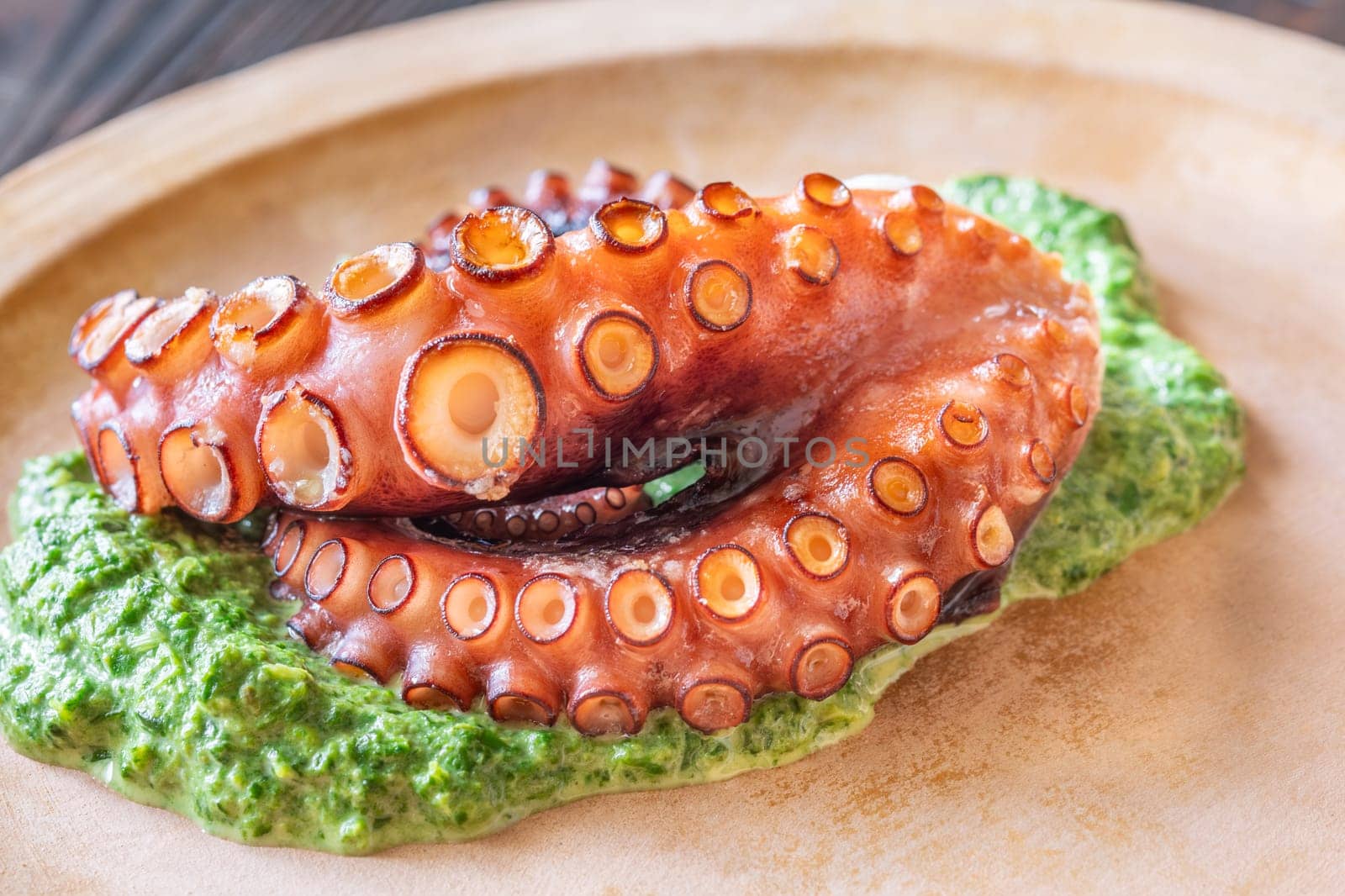 Tender roasted octopus paired with warm creamy spinach, elegantly plated in rustic style