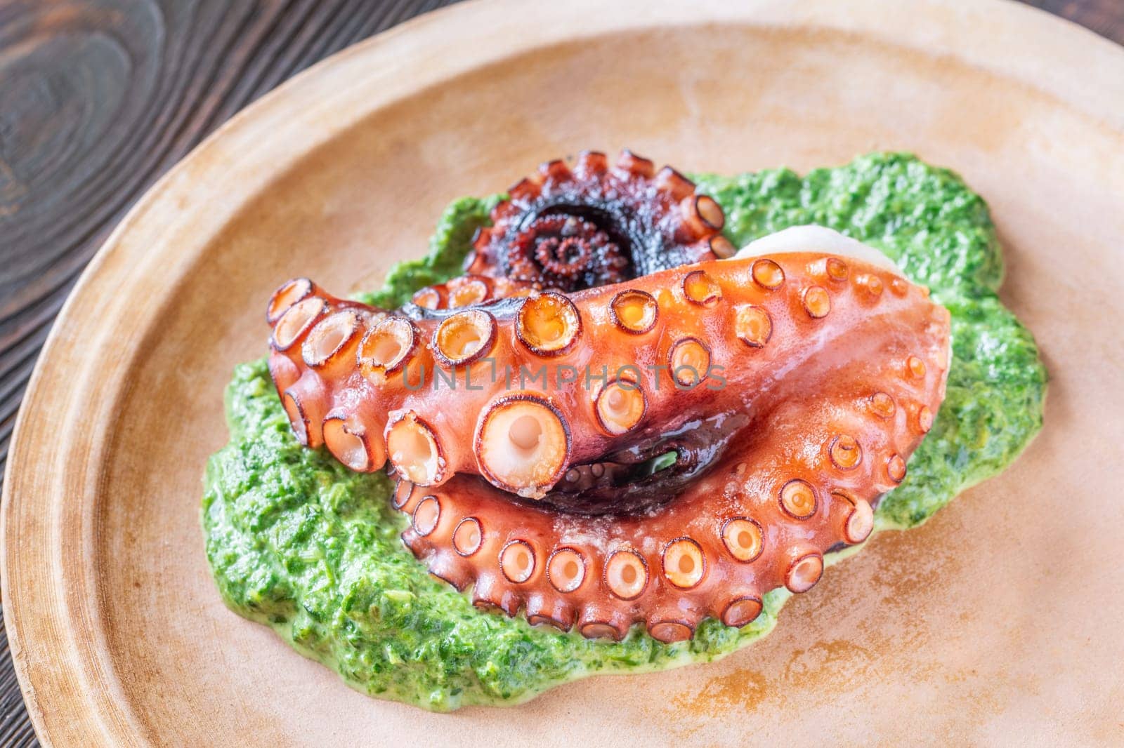 Tender roasted octopus paired with warm creamy spinach, elegantly plated in rustic style