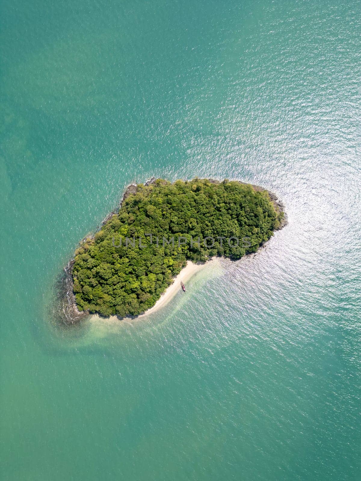 Drone shot of tropical vibrant panoramic jungle with palm trees on the shoreline, tropical leaves and wild greenery offer a peaceful retreat. Botanical exploration and summer adventure.