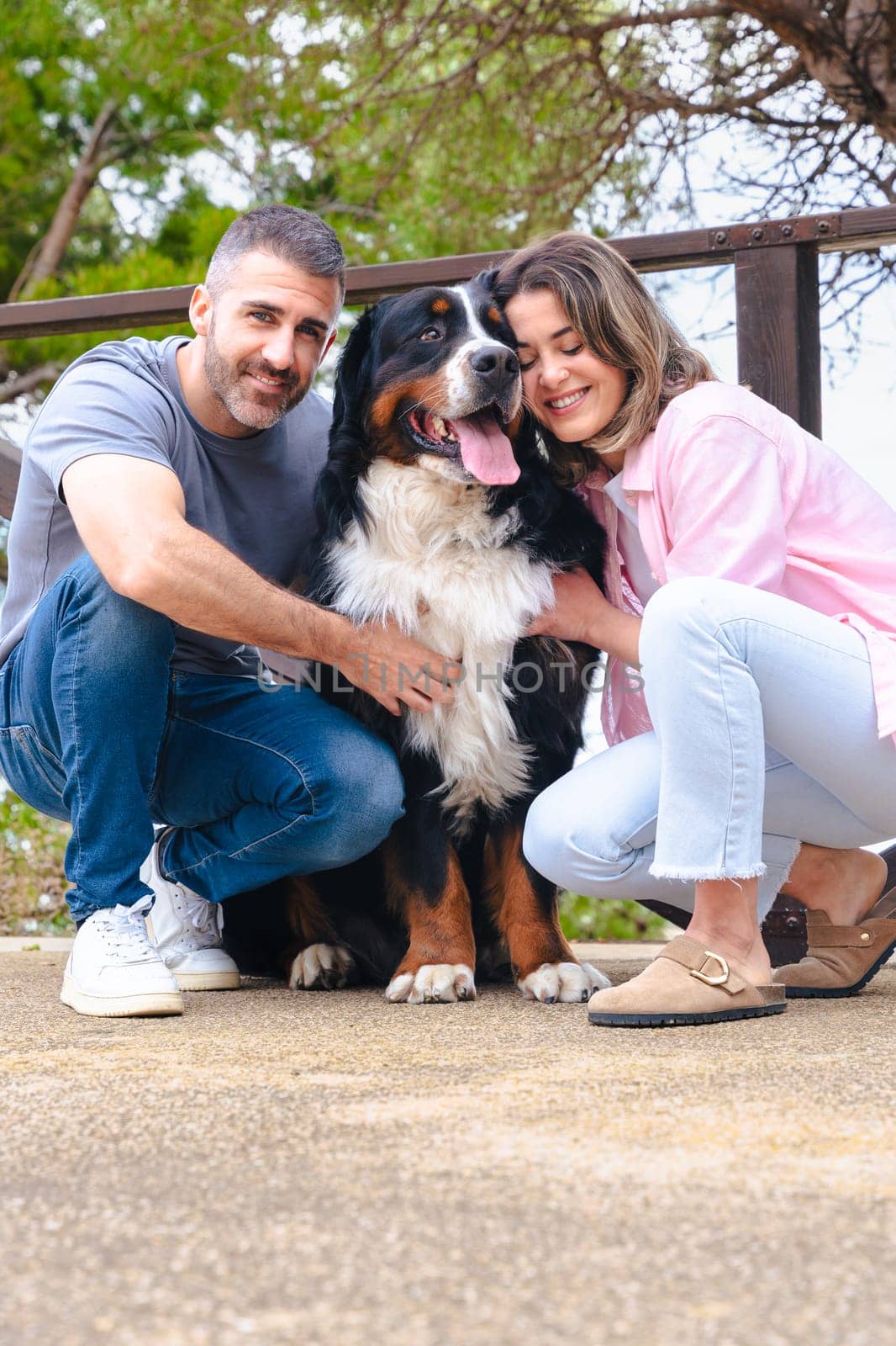 Vertical Portrait Happy couple bonding with their Bernese Mountain Dog in a natural outdoor setting. Smiling and relaxed moment showing companionship, love, and joy during a bright, fresh spring day.