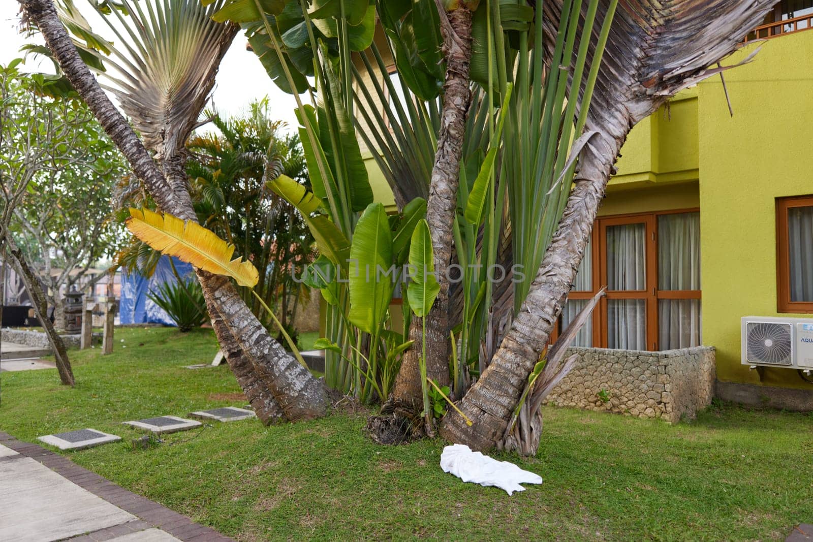 White towel laying on the ground next to a tree in front of a building on a sunny day