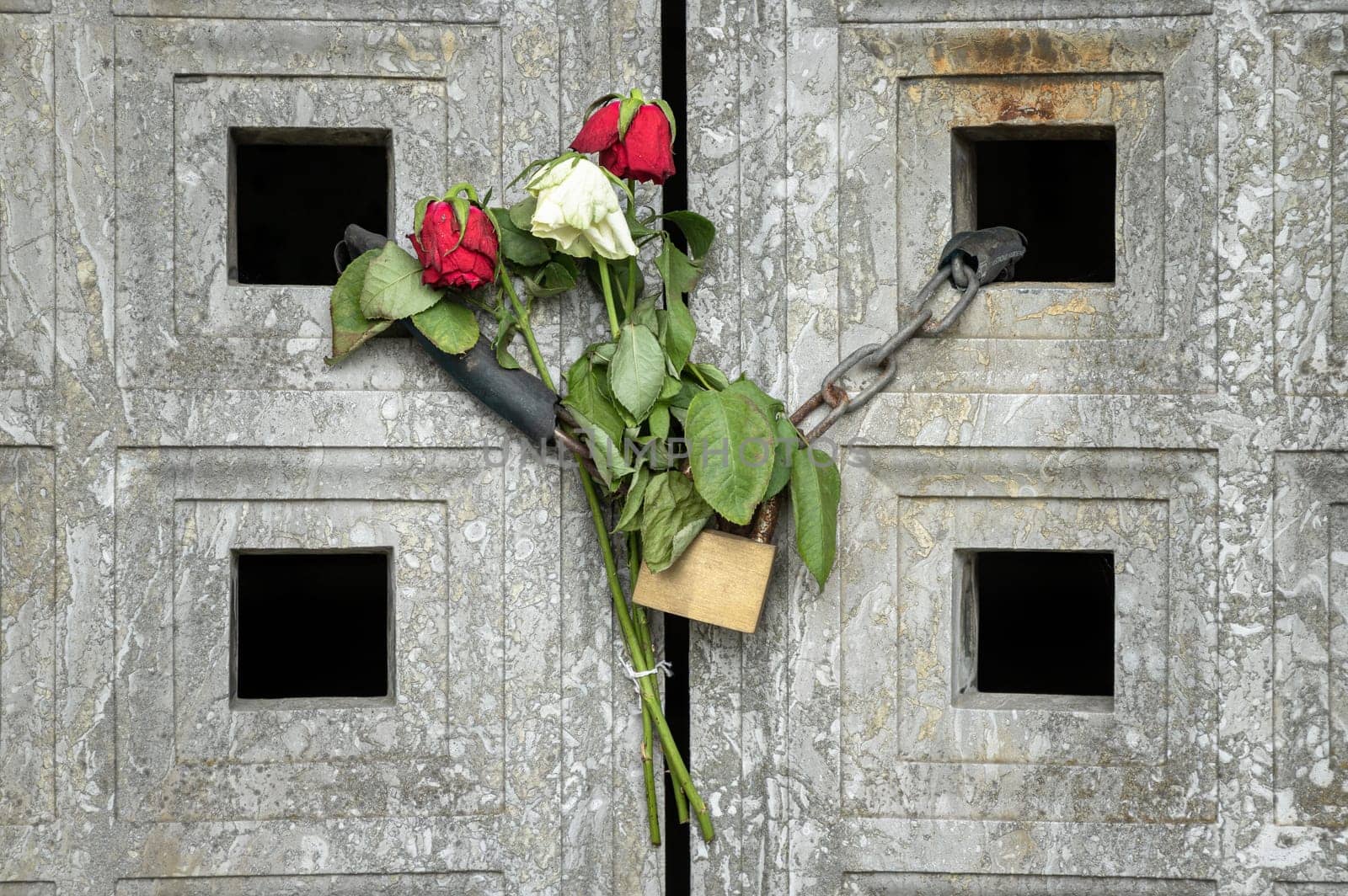 London, UK - May 08, 2025 - White and Red rose flowers attached to steel chain with Brass padlock holding massive hinges of the front entrance door are of stone at Philipson Mausoleum in Golders Green Crematorium. use it as your Wallpaper, Poster and Copy space, Selective focus.