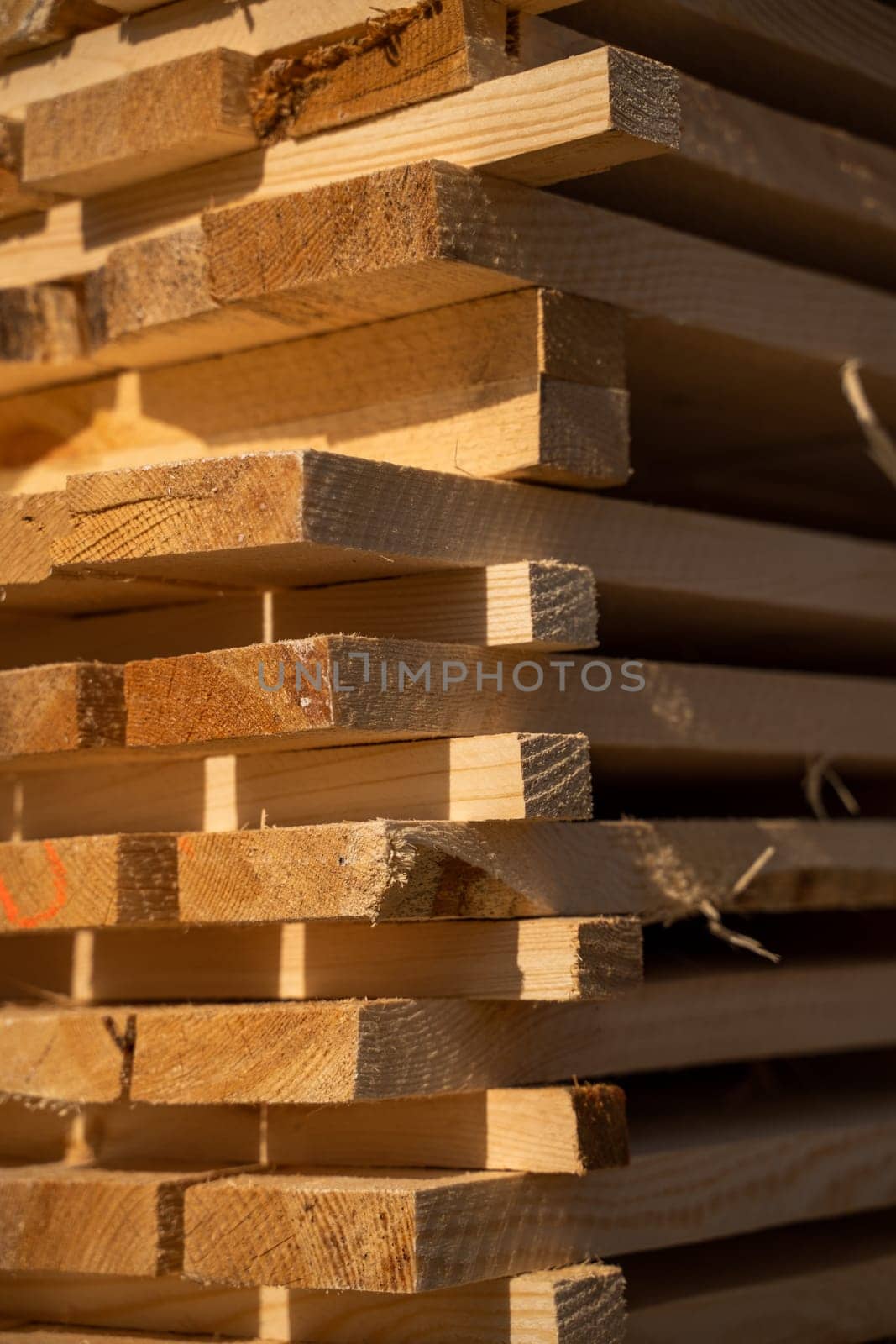 Detailed view of freshly sawn wood planks stacked outdoors, showing grain, texture, and rough-cut edges in warm golden sunlight with visible fibrous surfaces.