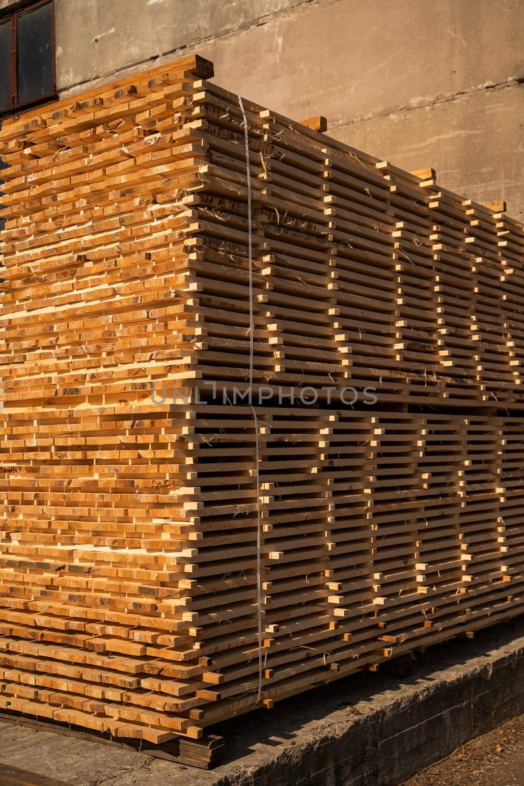 Large stack of dried wooden planks piled near a concrete wall. Industrial lumber ready for construction or carpentry, bathed in warm, golden afternoon light.