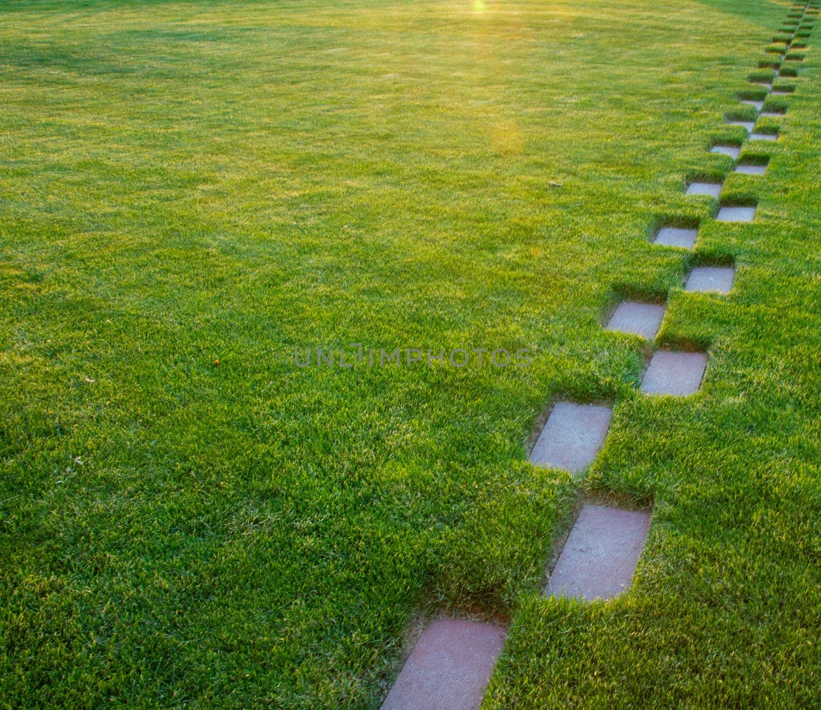 A path is cut through a lush green field. The path is made of small stones and is lined with grass. The grass is short and the field is well-maintained. The path appears to be leading somewhere