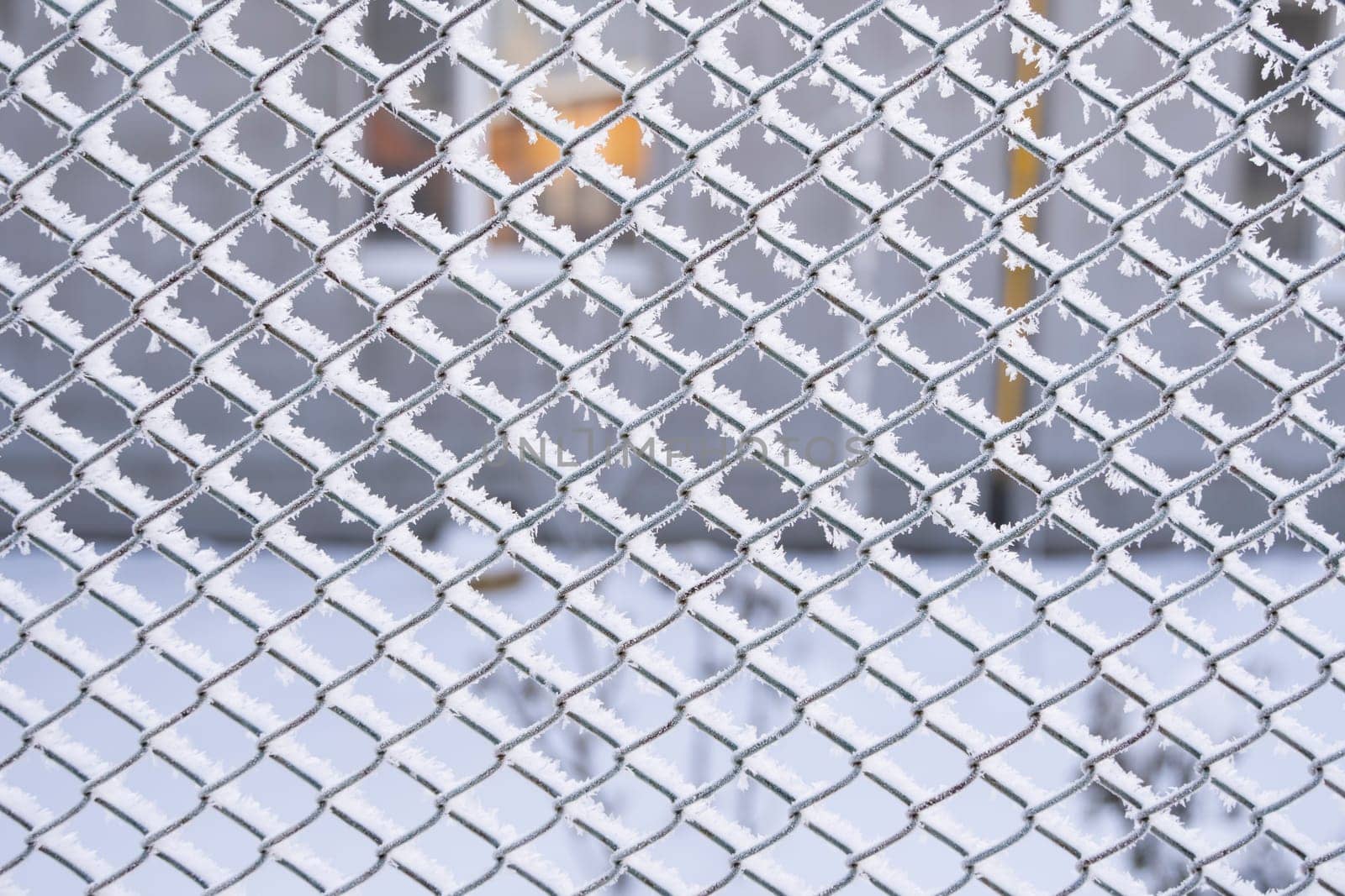 A wide view of metal mesh fencing coated in frost crystals on a winter morning. The frozen geometry contrasts with a soft, snowy background in natural light.