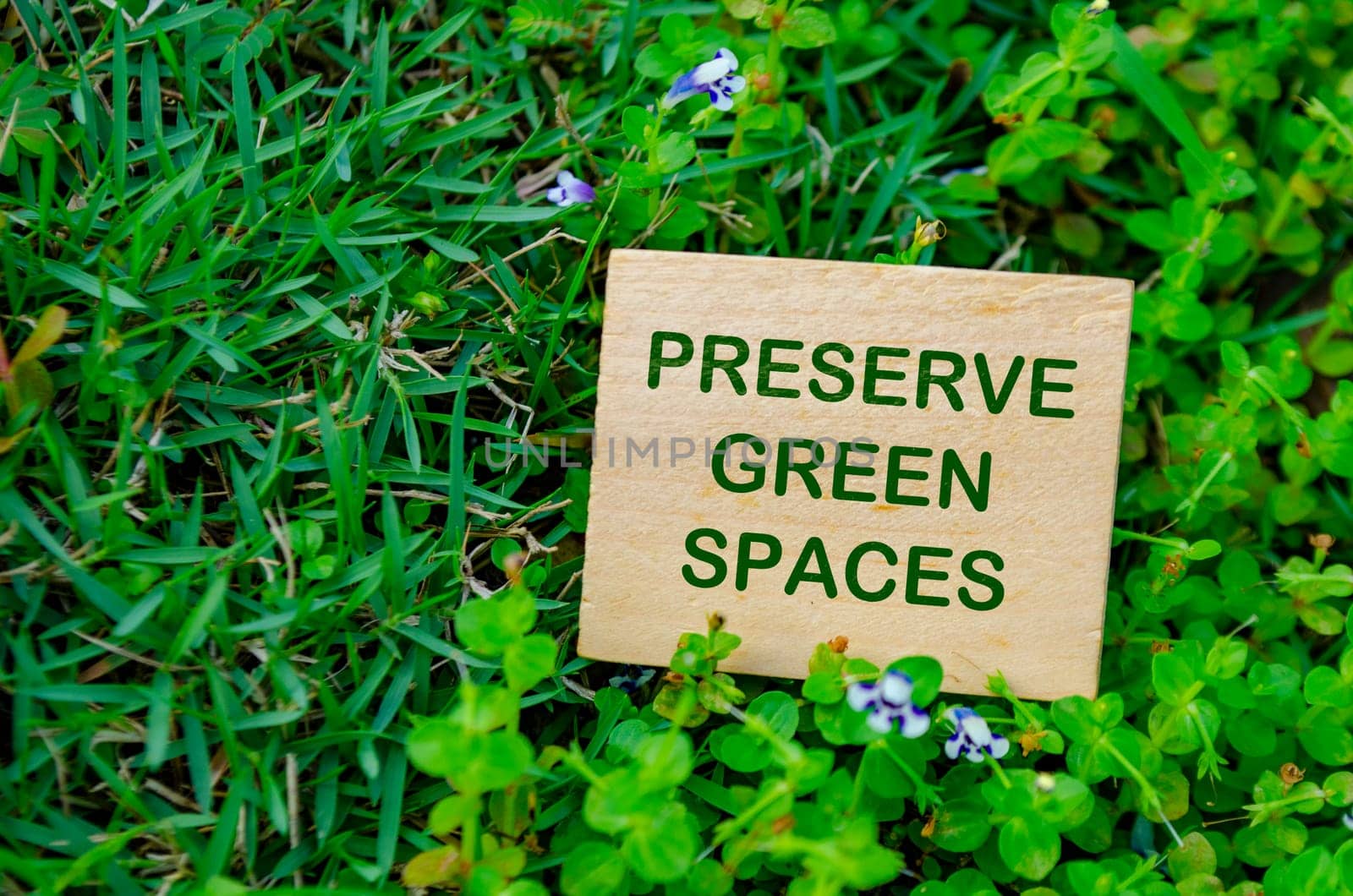 Top view of close up Preserve Green Spaces text on wooden block. For a greener tomorrow concept