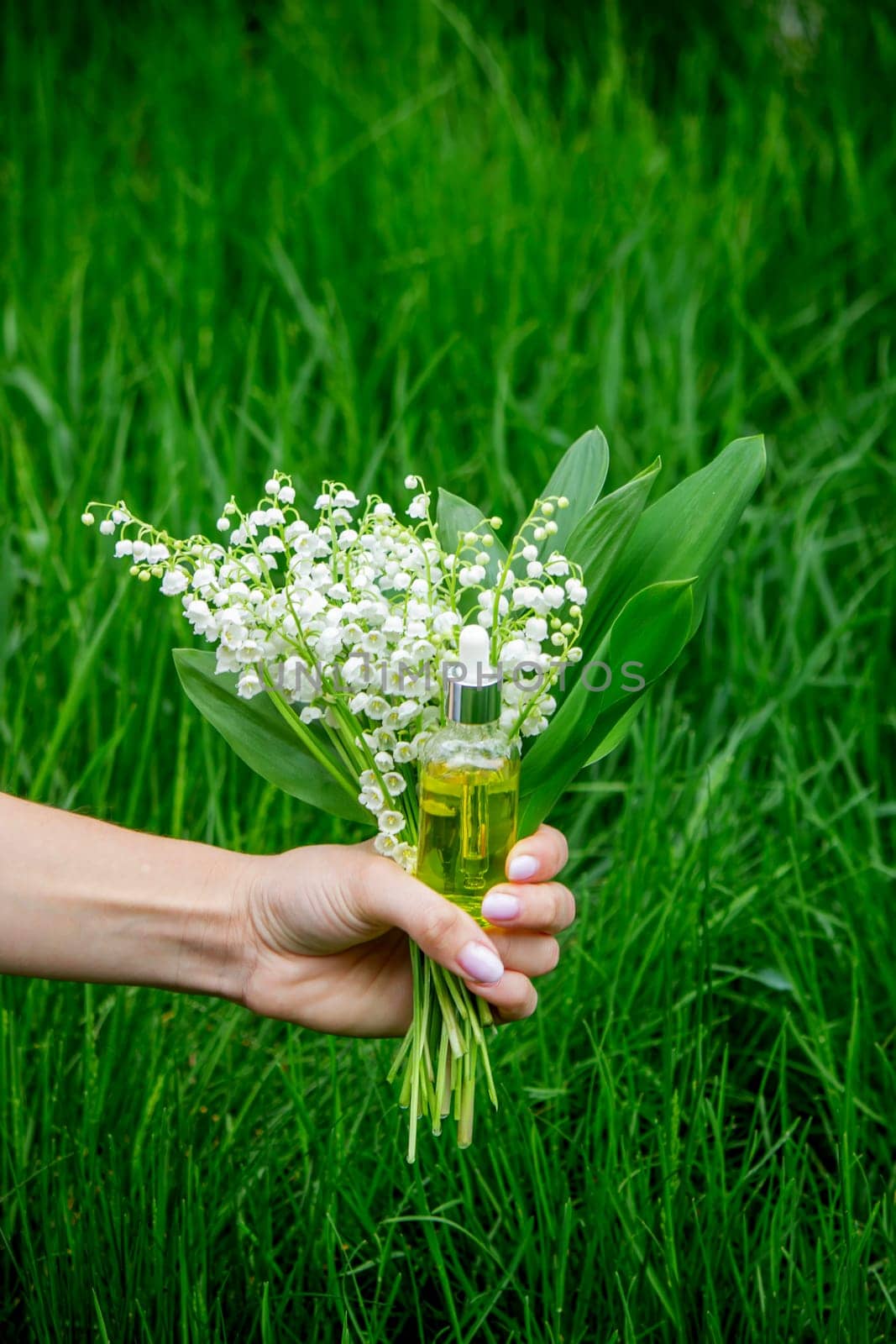 Glass bottle of lily of the valley essential oil with fresh flowers