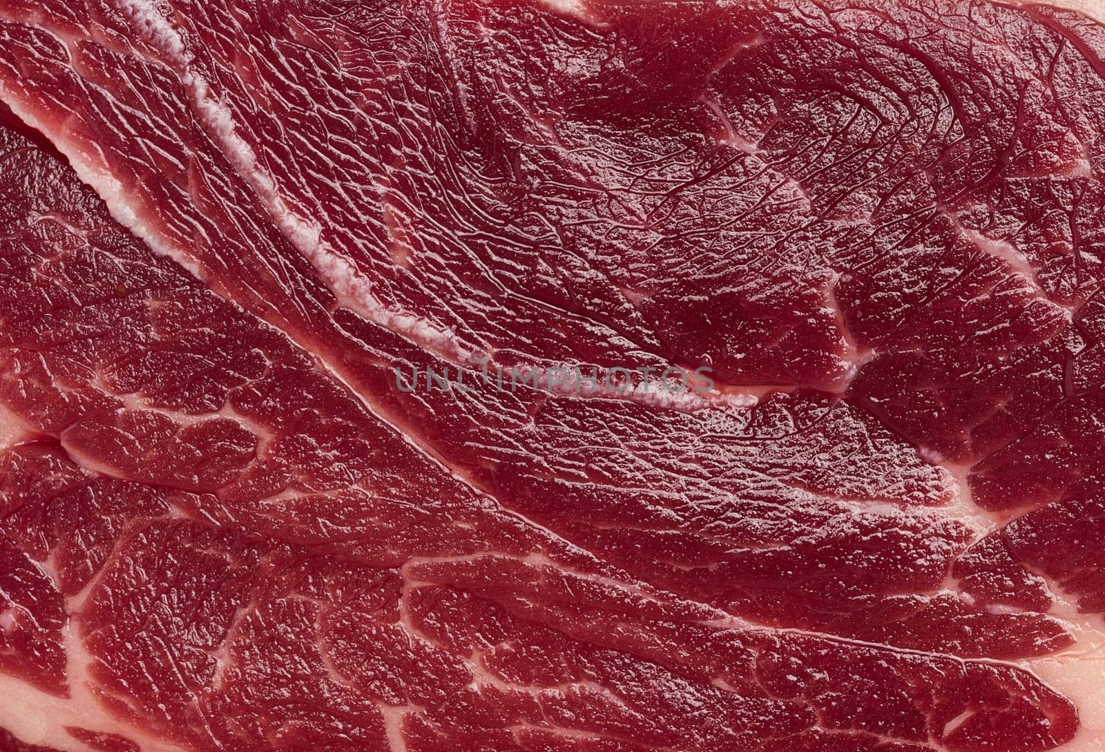 Detailed close up of fresh raw red meat texture with white fat marbling. High quality beef or steak for culinary use